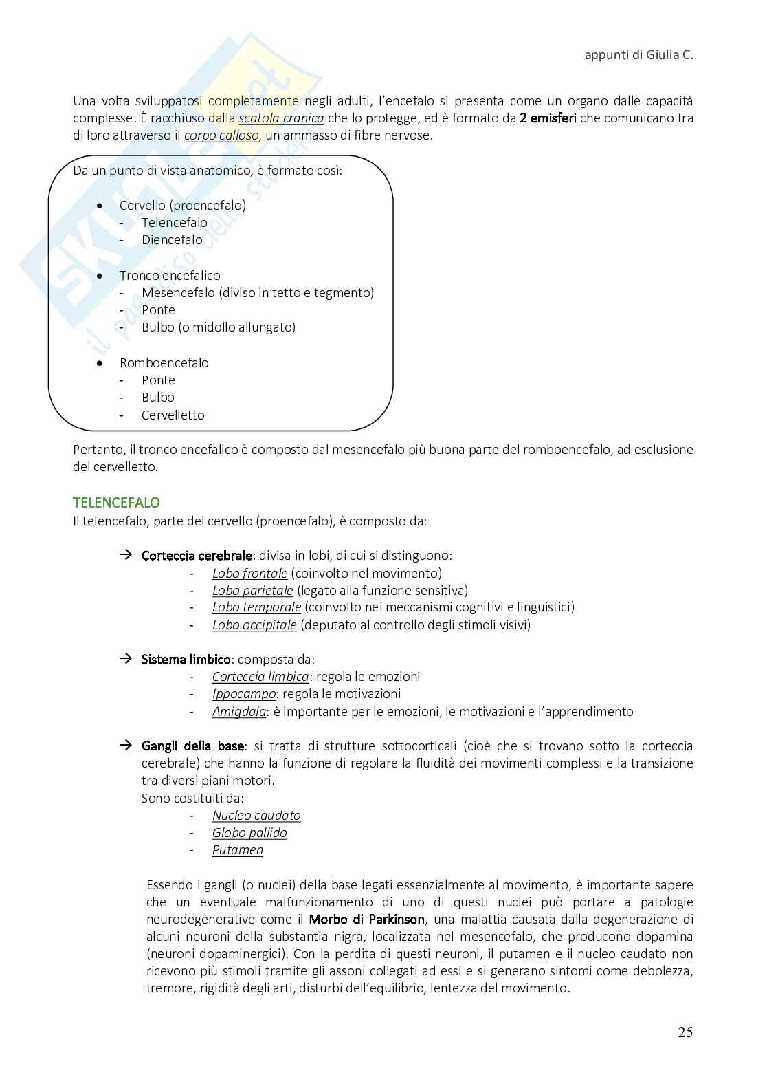 Riassunto esame Fondamenti di fisiologia, Prof. Fioranelli Massimo, libro consigliato Neuroscienze. Esplorando il cervello, Bear Pag. 26