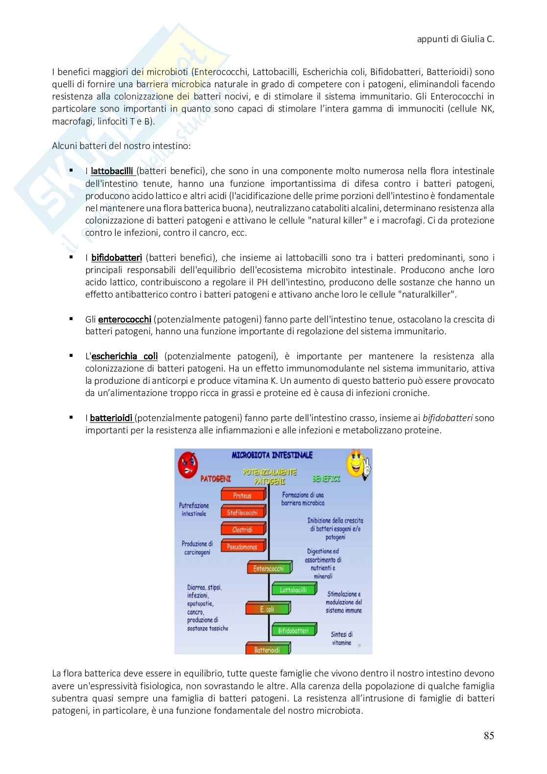 Riassunto esame Fondamenti di fisiologia, Prof. Fioranelli Massimo, libro consigliato Neuroscienze. Esplorando il cervello, Bear Pag. 86
