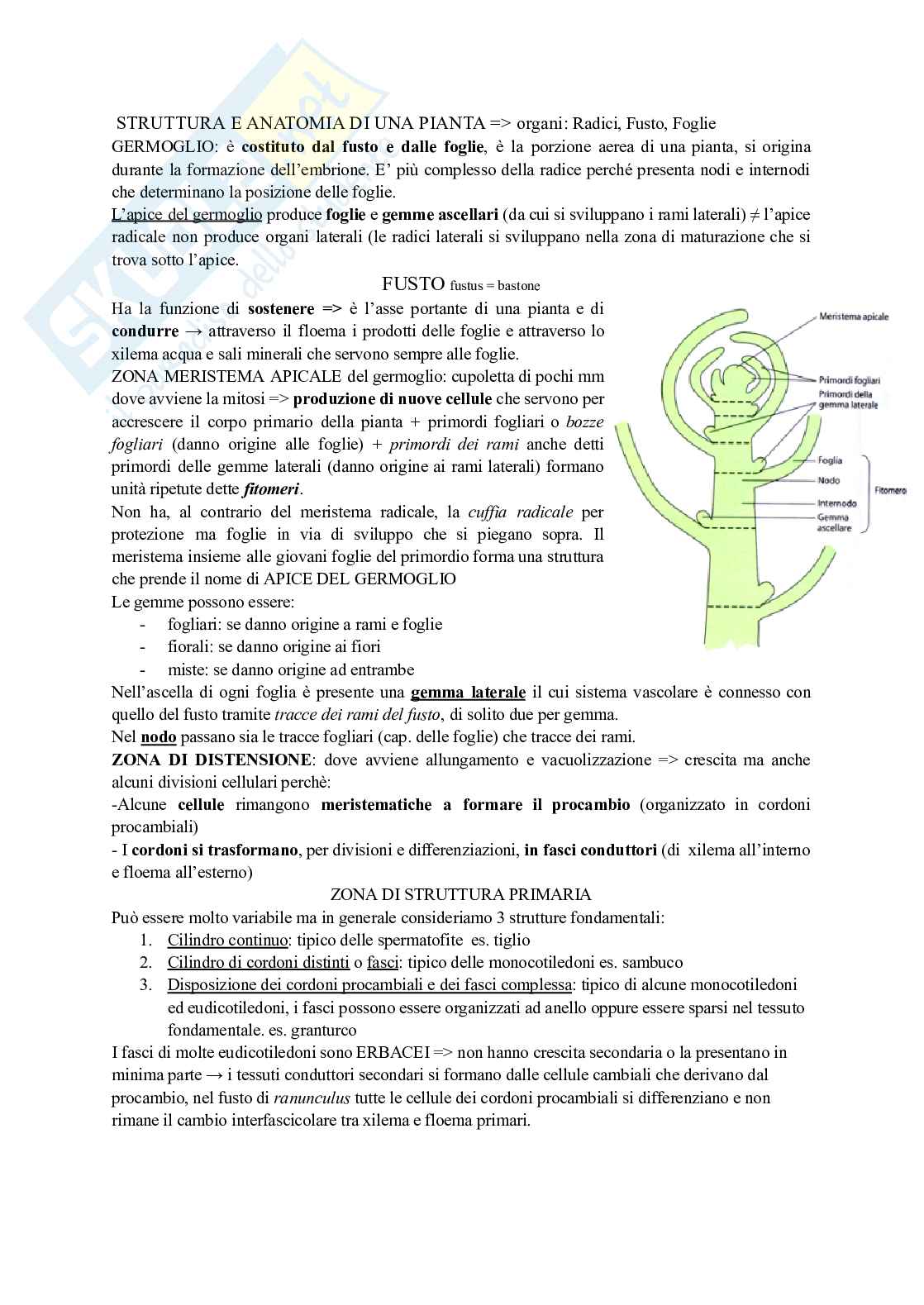 Riassunto esame Botanica, Prof. Caneva Giulia, libro consigliato Biologia delle piante, Raven Pag. 1