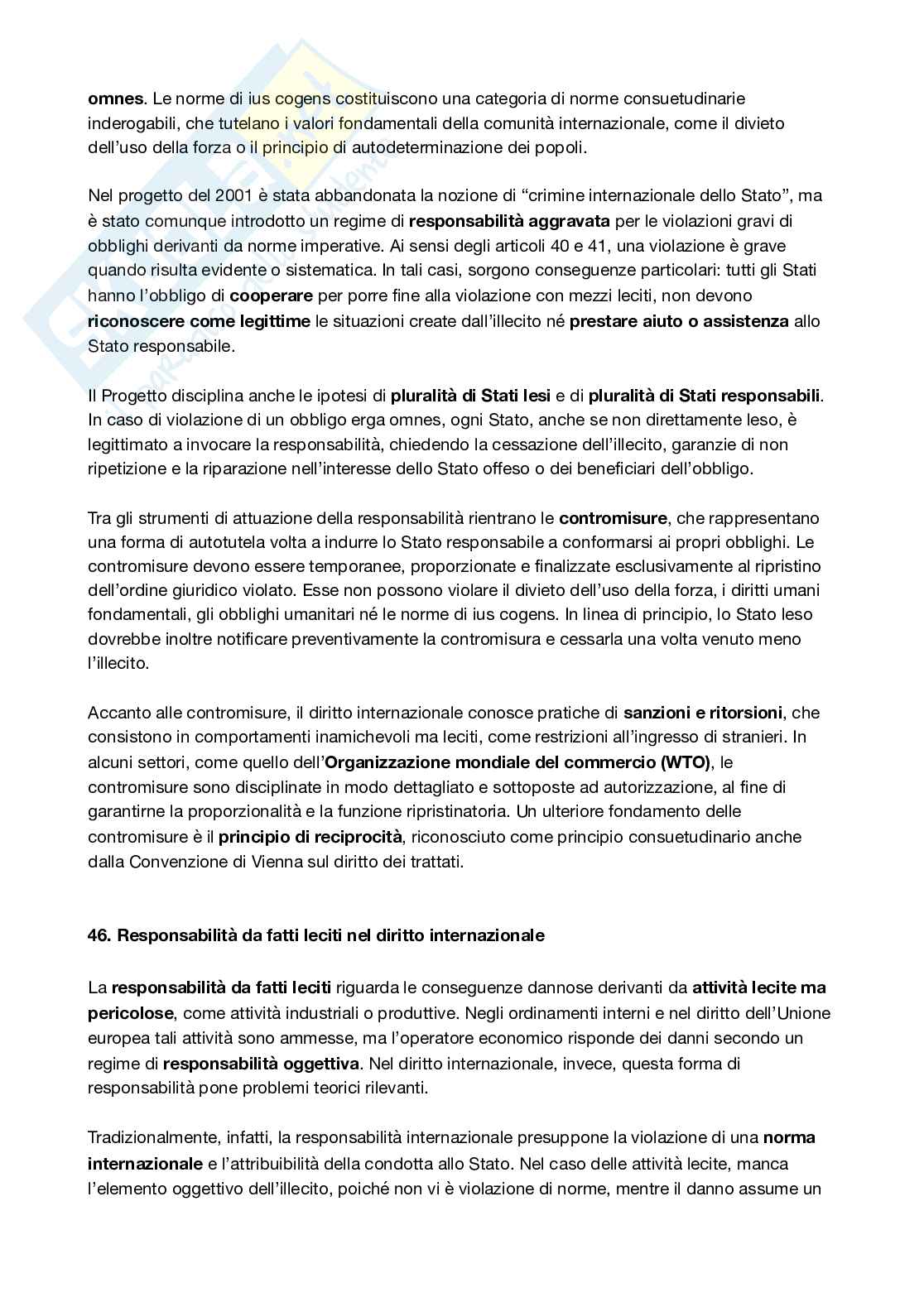Appunti Diritto internazionale  Pag. 56