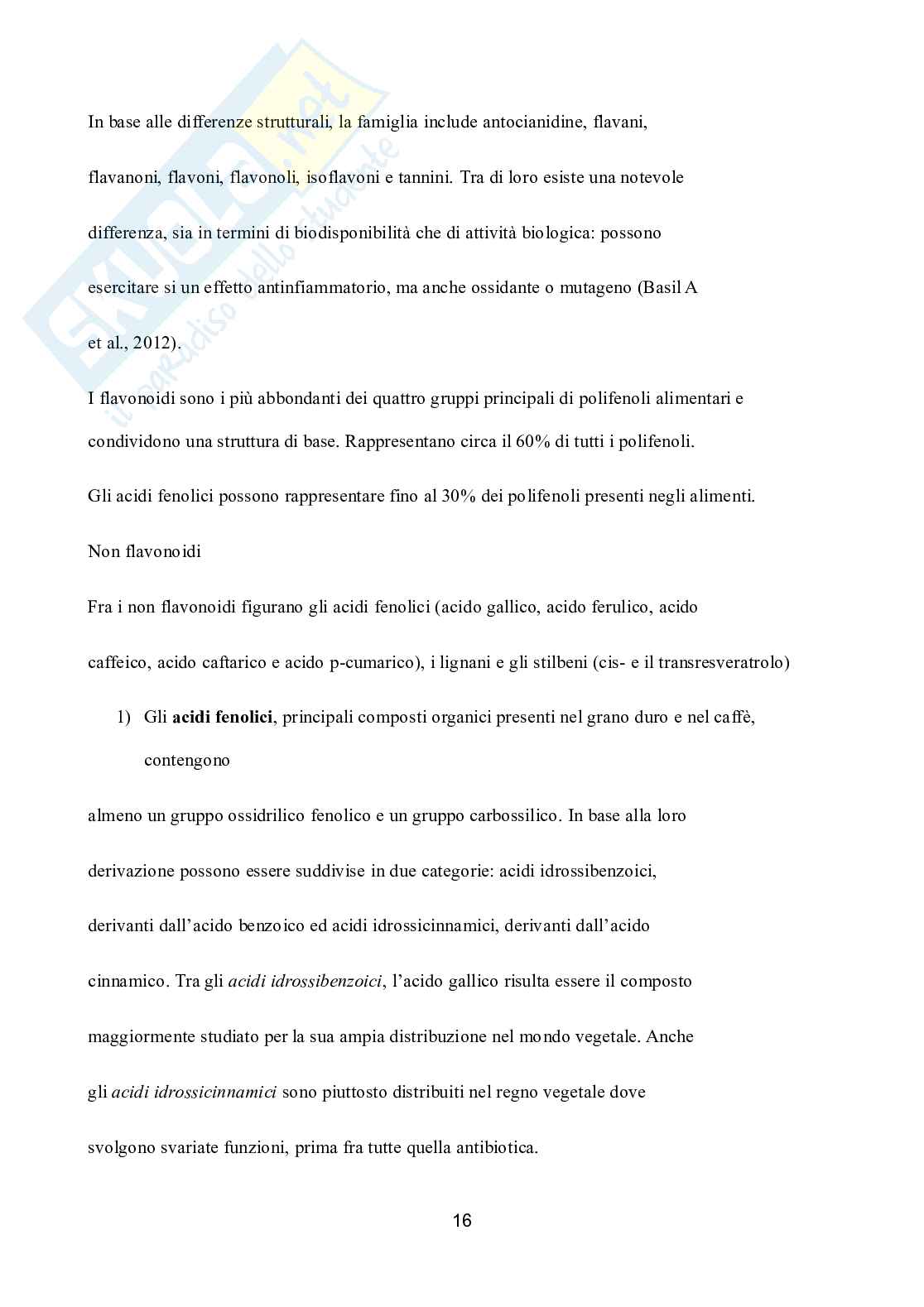 Master Medicina Funzionale - Nutrizione Funzionale - Pag. 16