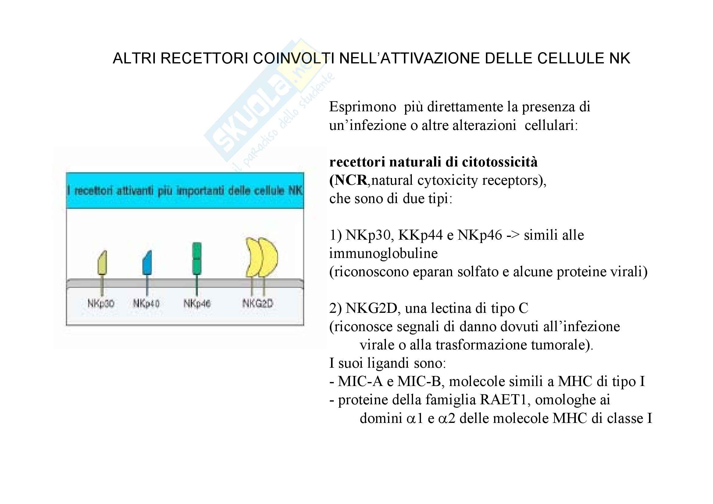 Immunologia - cellule NK Pag. 11