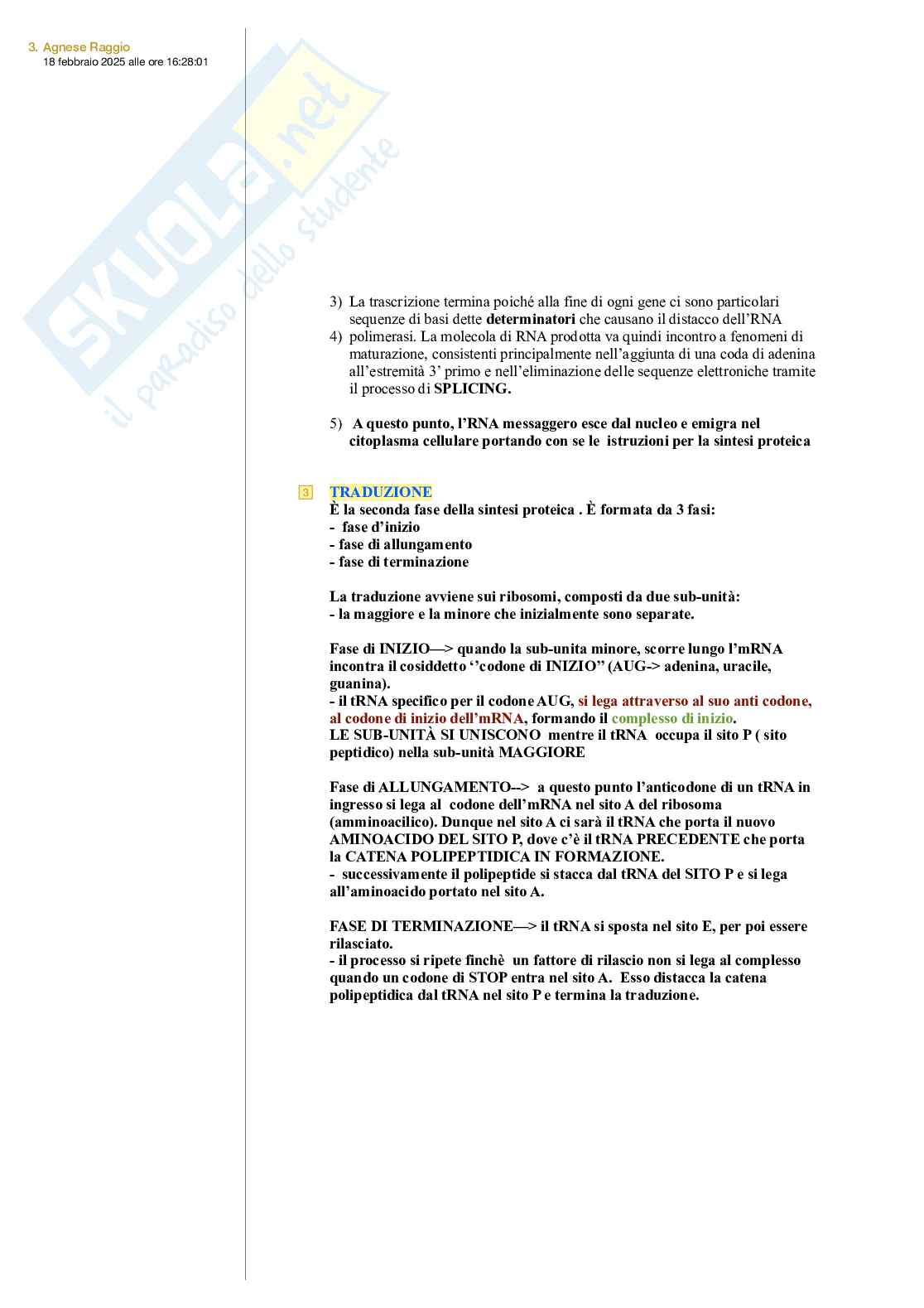 Appunti Biologia animale Pag. 11