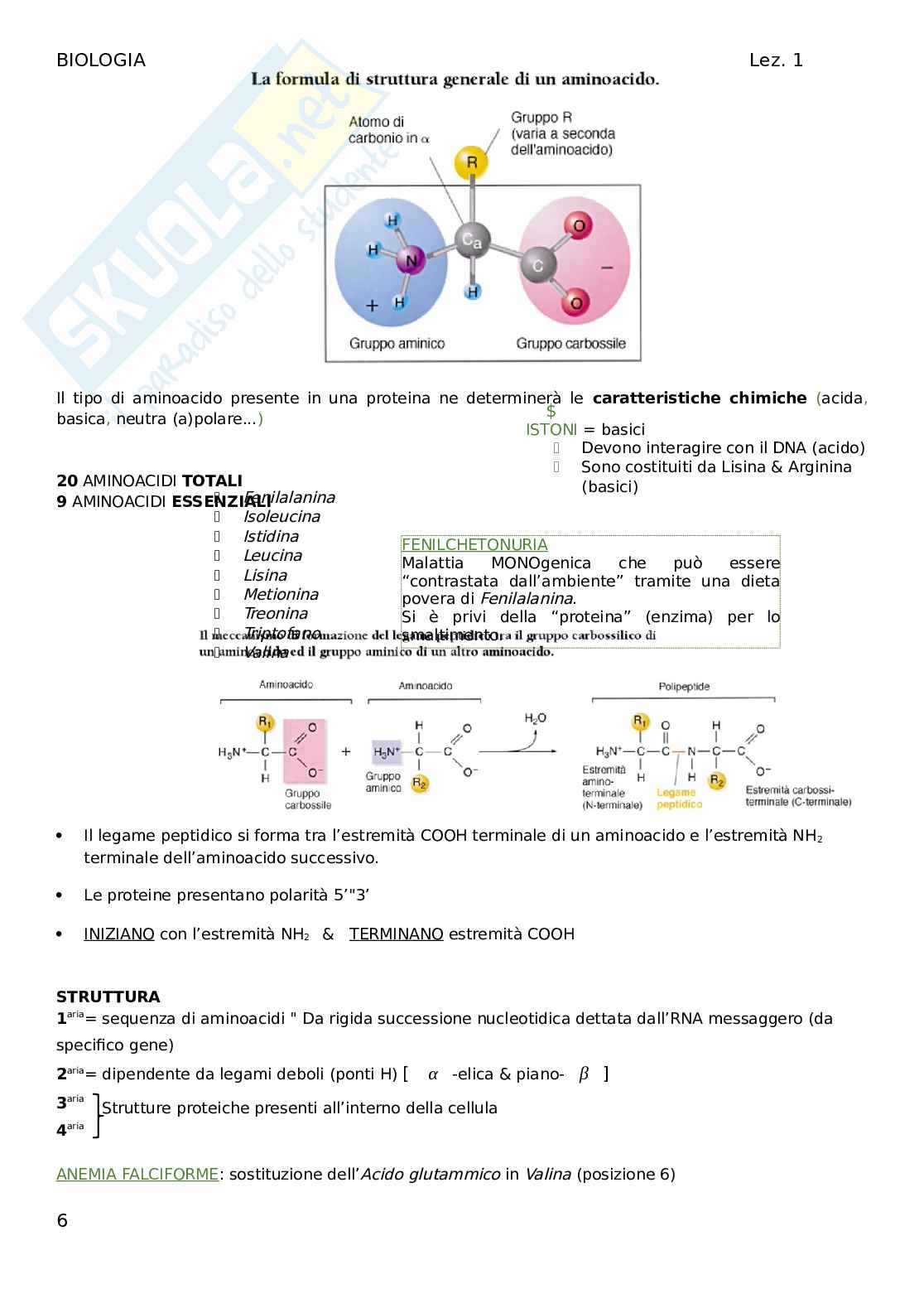 Biologia - Lezione 1 Pag. 6