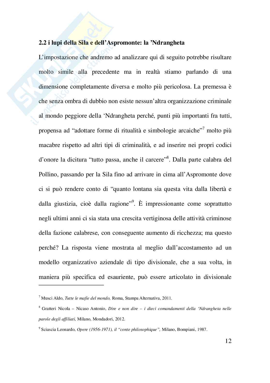 I modelli organizzativi adottati dalla criminalità: un’analisi comparativa Pag. 16