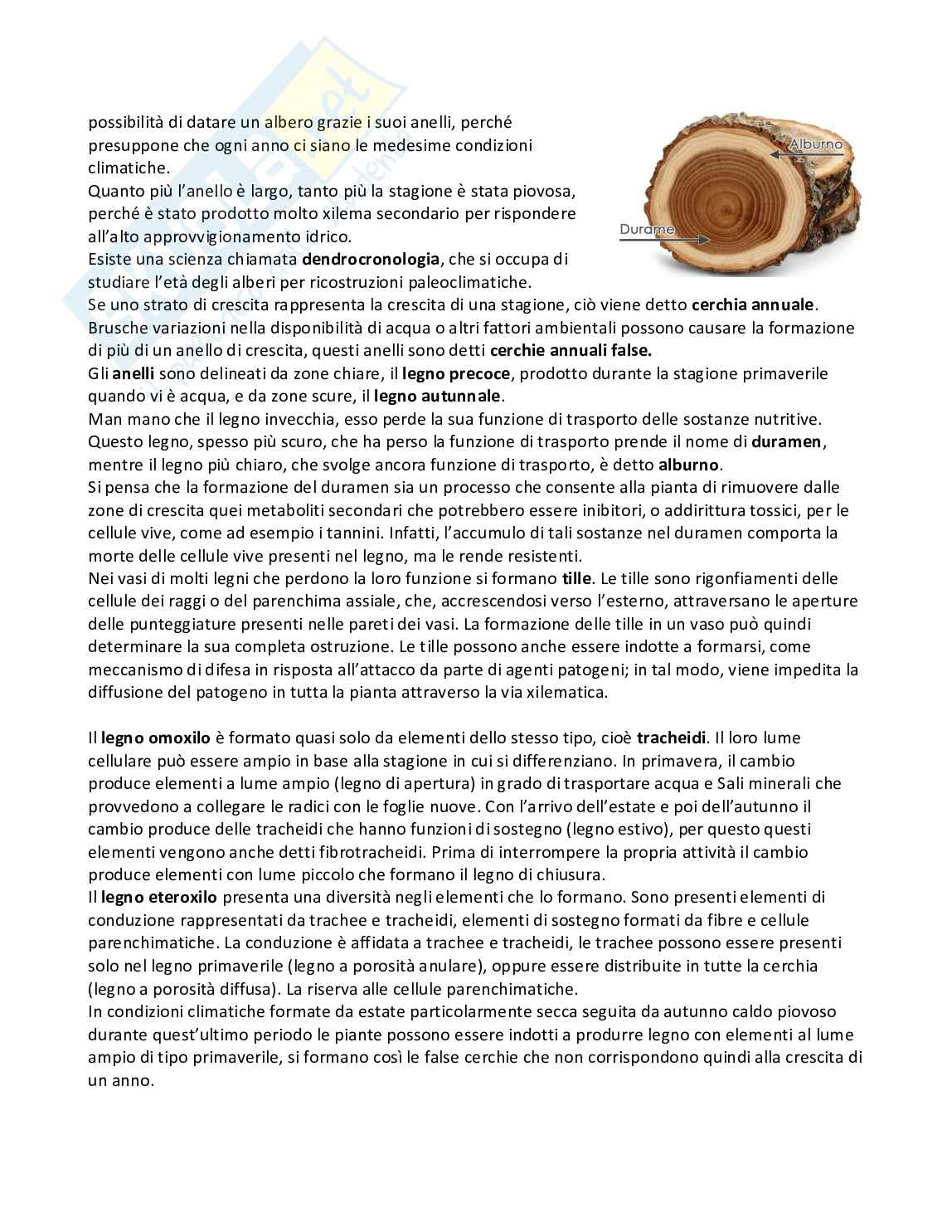Appunti Biologia vegetale  Pag. 36