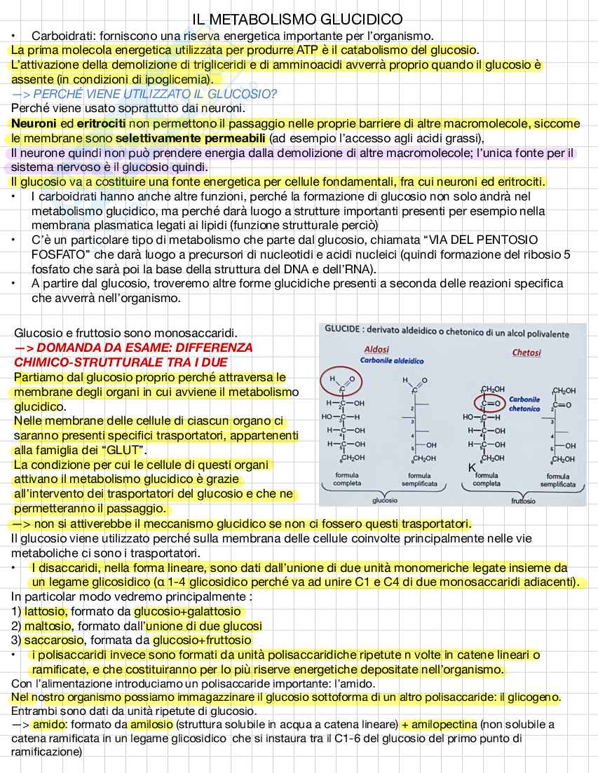 Biochimica e biologia molecolare Pag. 16
