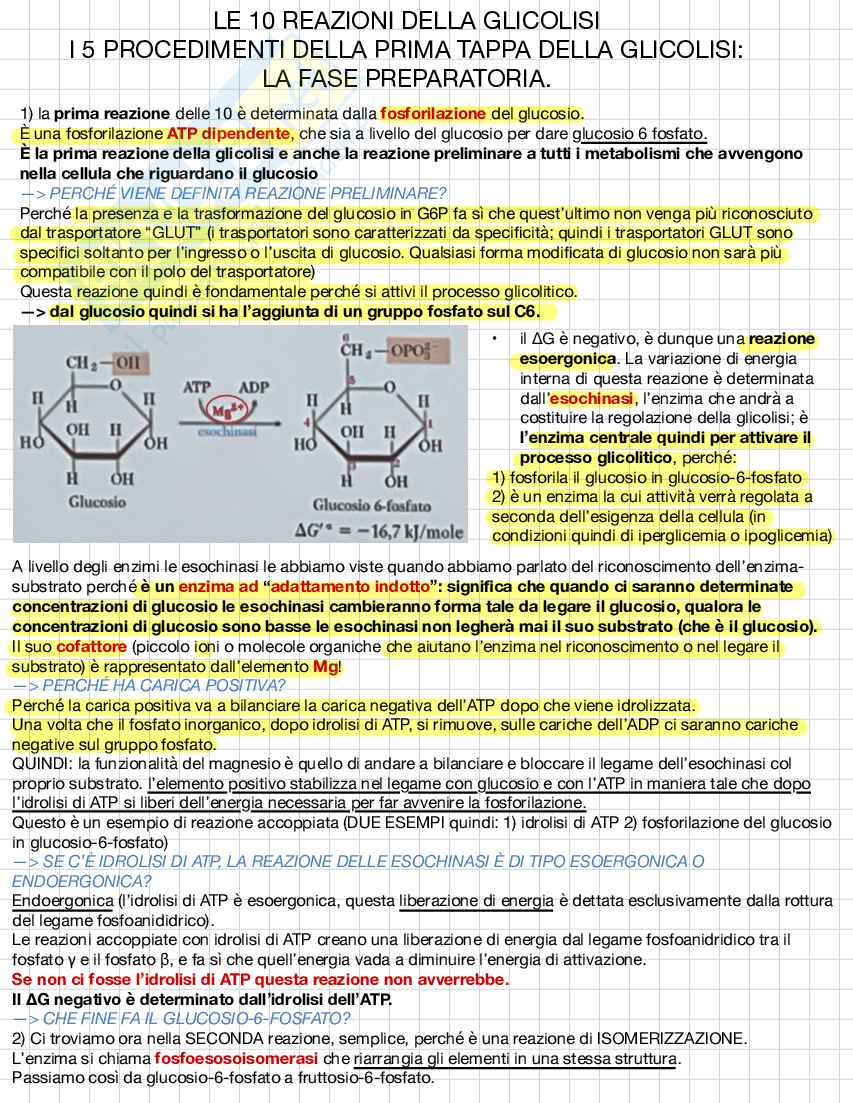 Biochimica e biologia molecolare Pag. 21