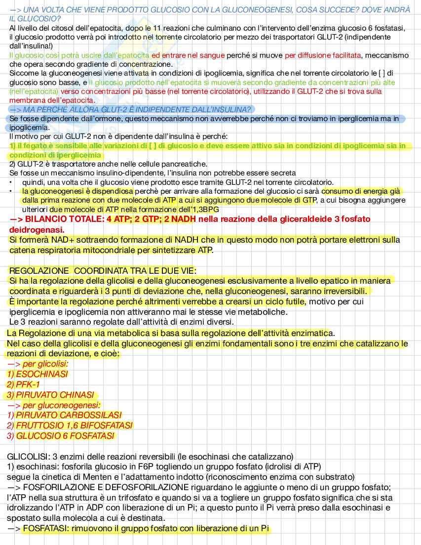 Biochimica e biologia molecolare Pag. 36