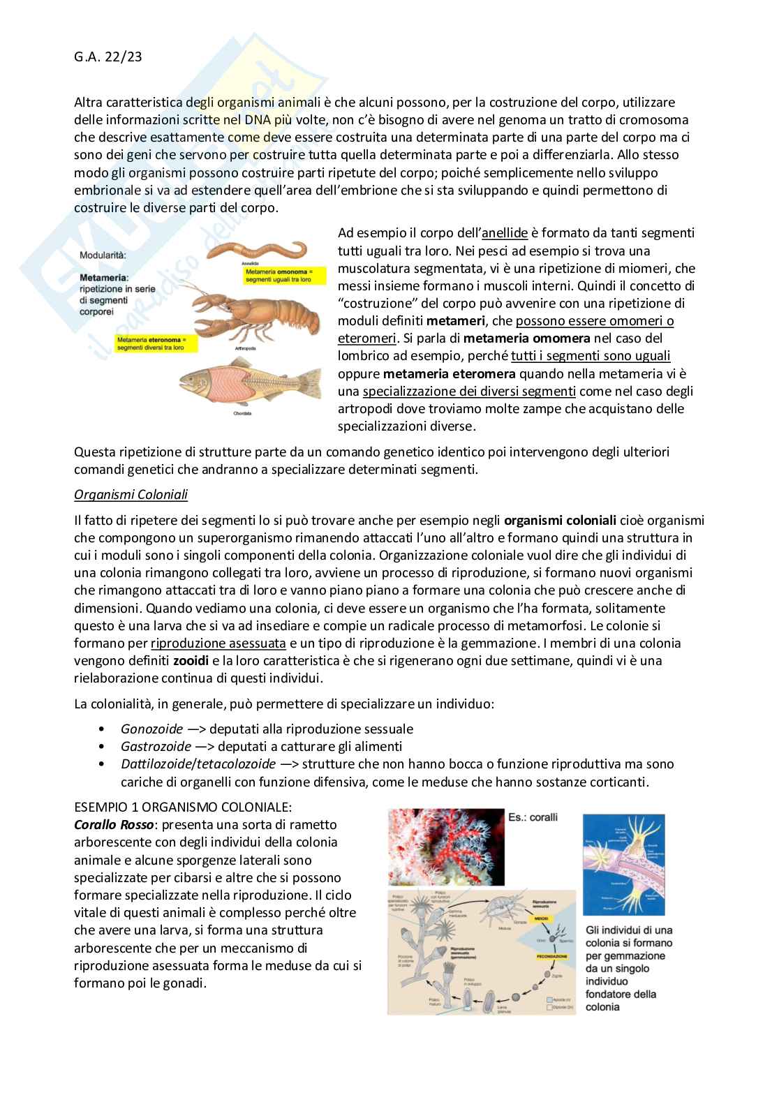 Zoologia - parte generale Pag. 6