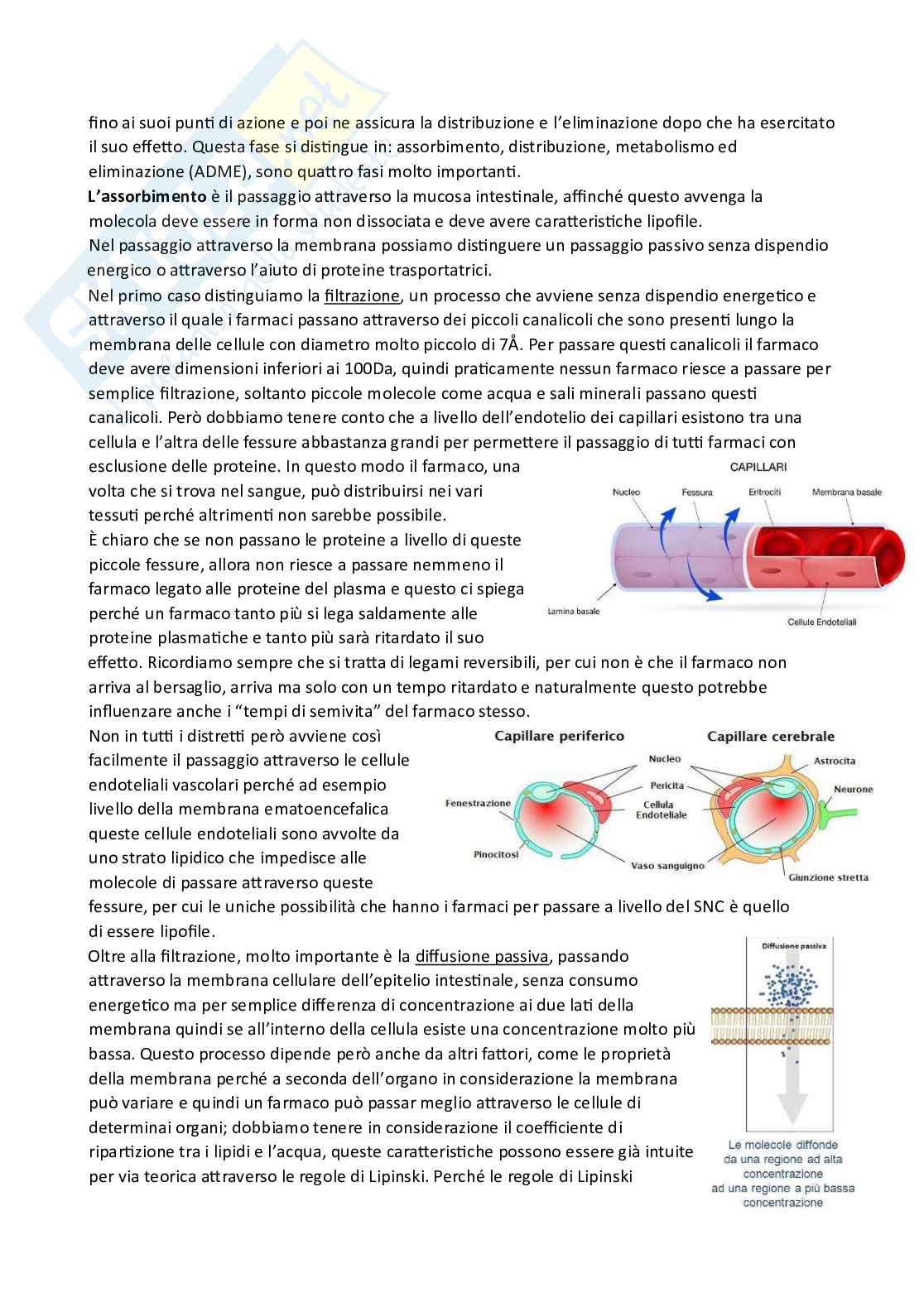 Chimica farmaceutica e tossicologica 1 - file completo 2024 Pag. 41