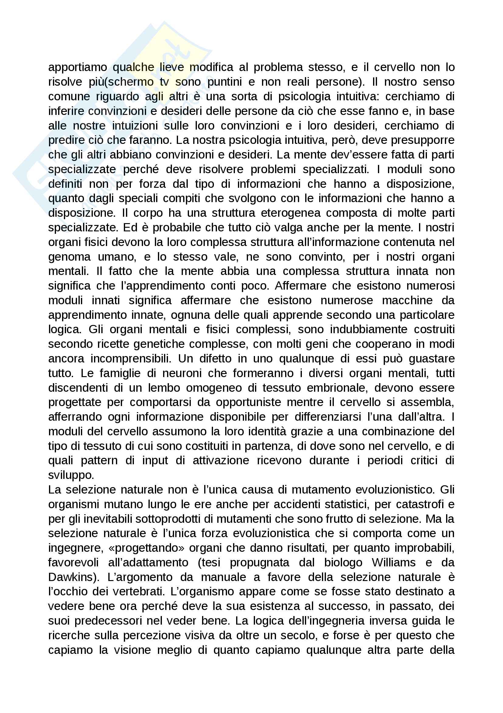 Riassunto esame filosofia della mente, Prof. Pietro Perconti. Testo consigliato Come funziona la mente, S. Pinker, cap 1, 2, 3, 6 Pag. 6