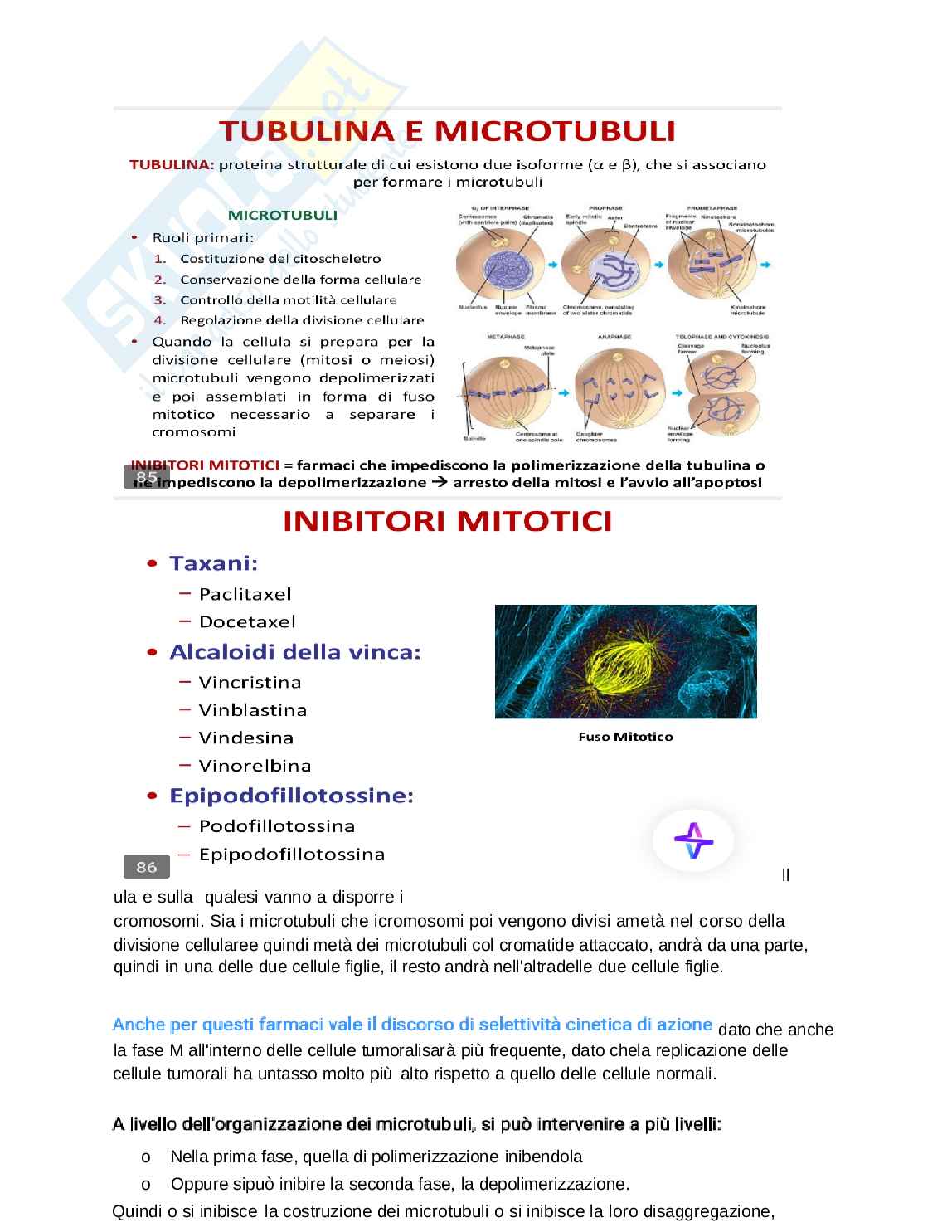 Riassunto esame Tecnica farmaceutica, Prof. De Rosa Gabriele, libro consigliato Farmacologia e tossicologia , Piccin Pag. 2