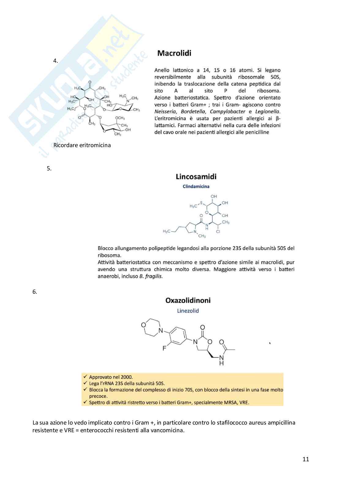 Metodologia diagnostica in microbiologia clinica  Pag. 11