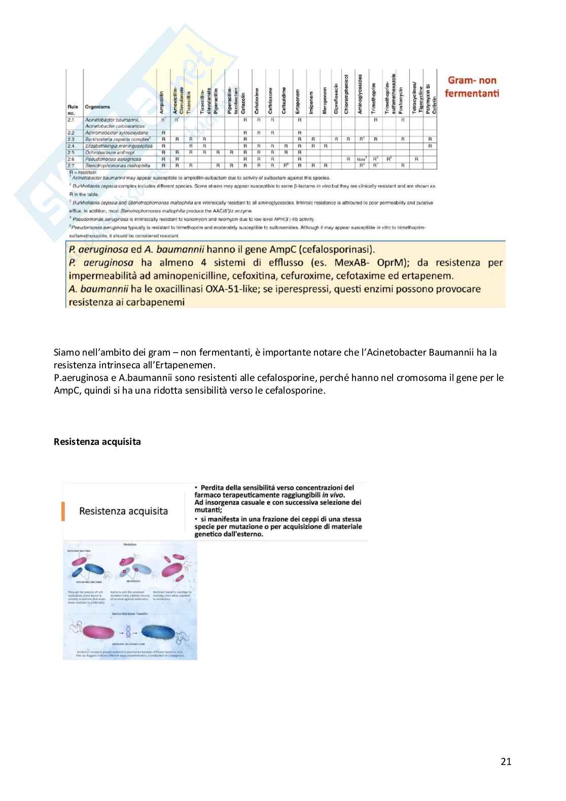 Metodologia diagnostica in microbiologia clinica  Pag. 21