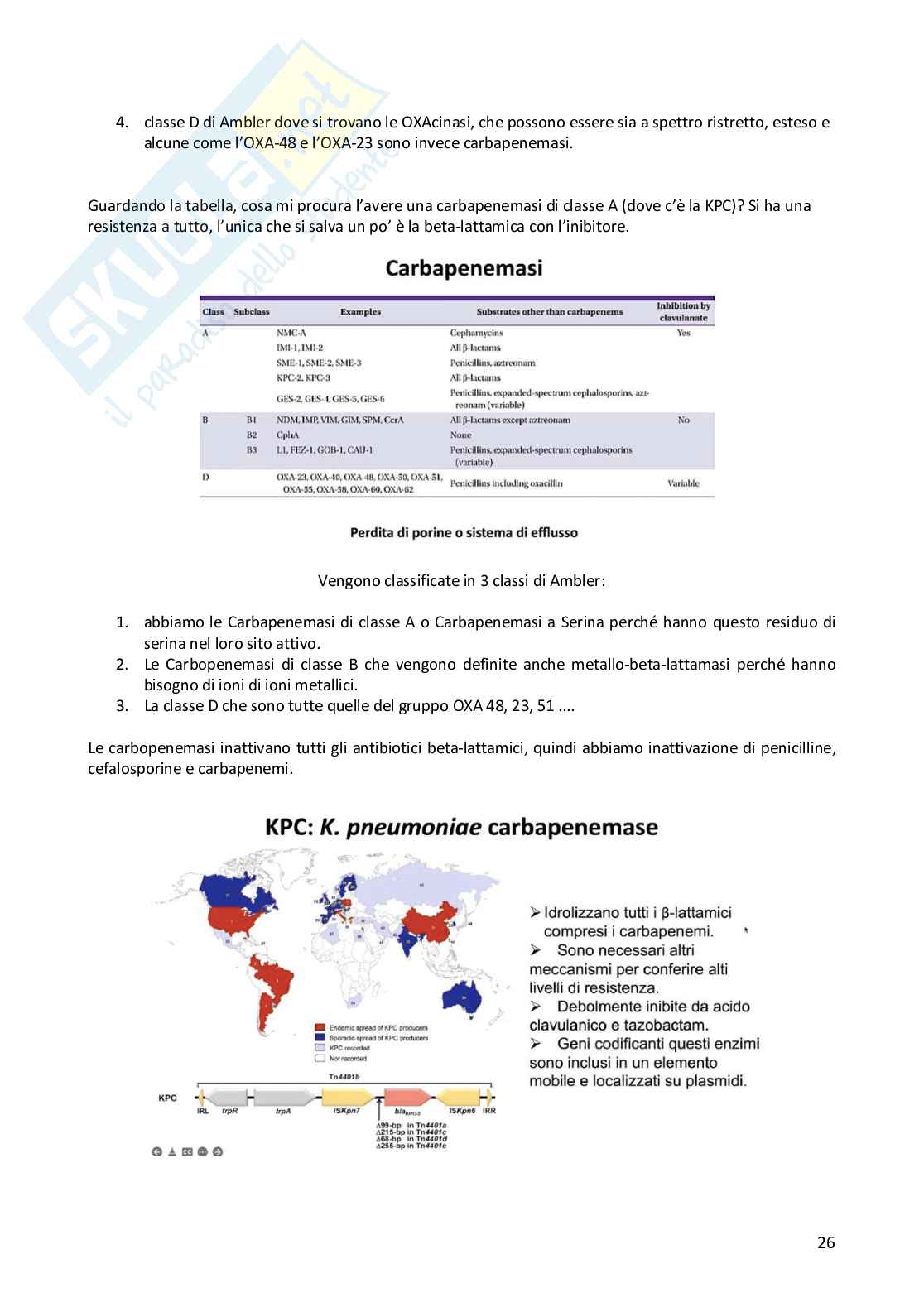 Metodologia diagnostica in microbiologia clinica  Pag. 26