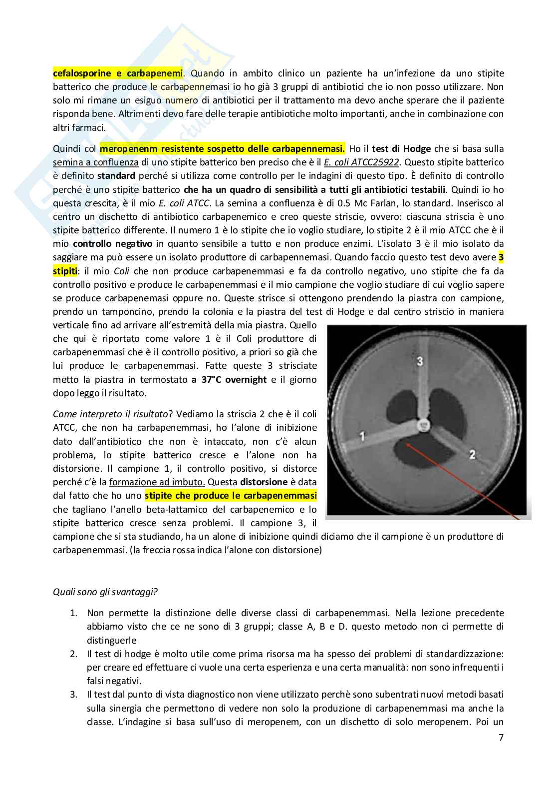 Metodologia diagnostica in microbiologia clinica  Pag. 36