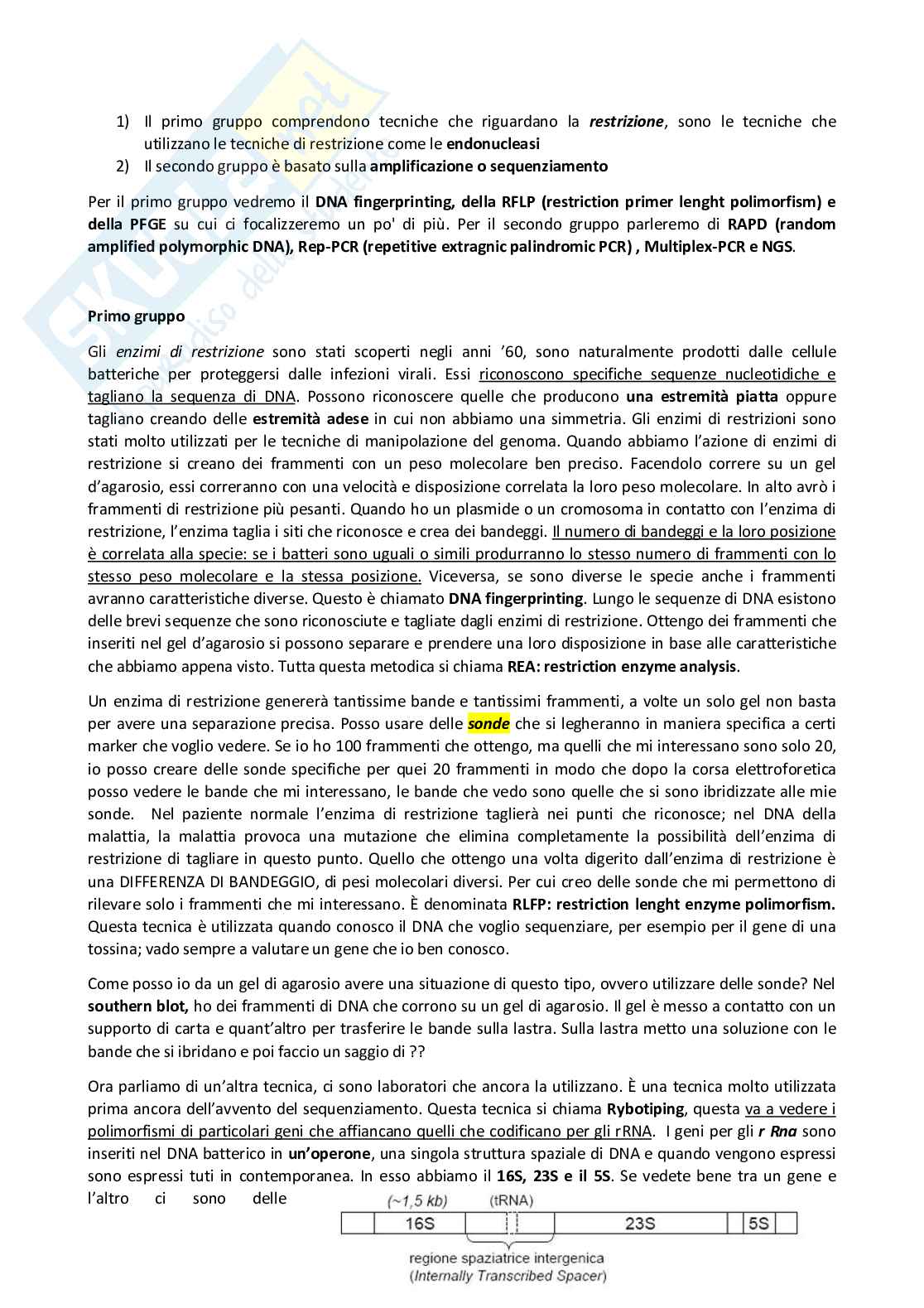 Metodologia diagnostica in microbiologia clinica  Pag. 46