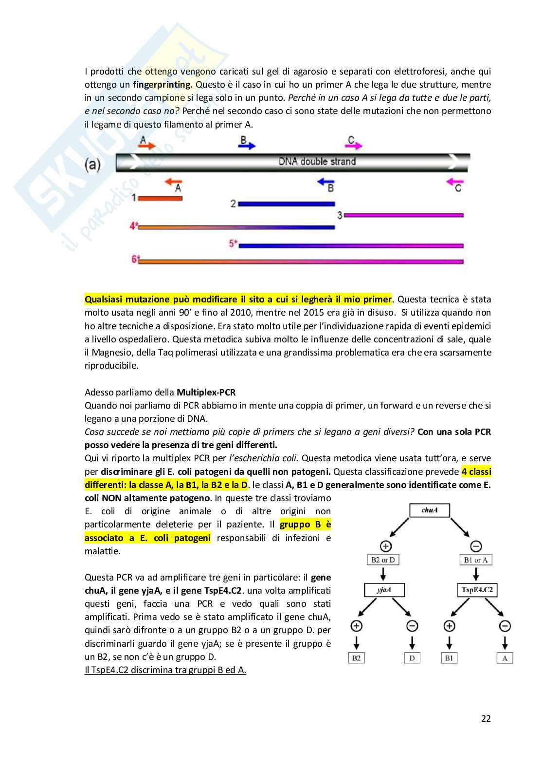 Metodologia diagnostica in microbiologia clinica  Pag. 51