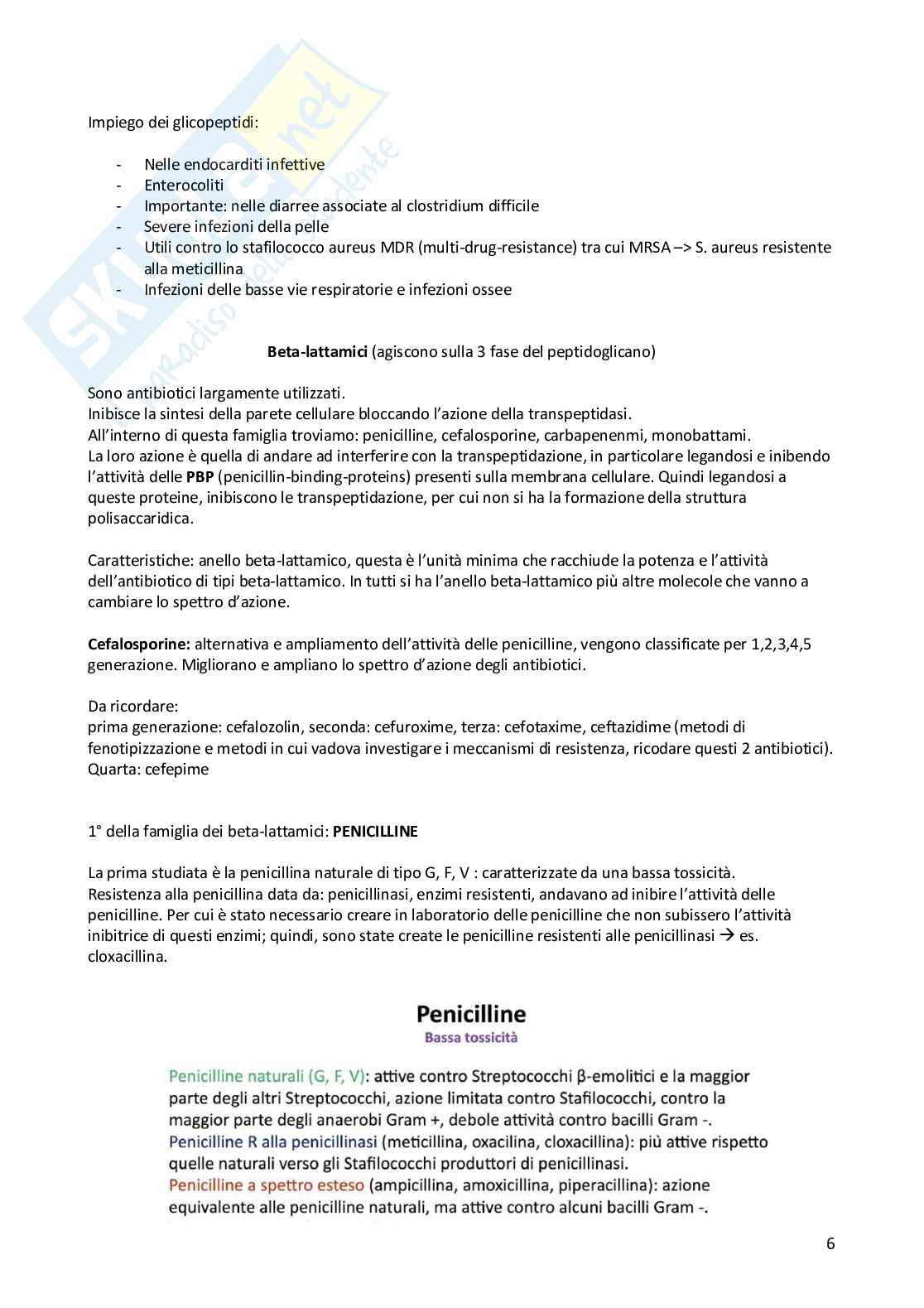 Metodologia diagnostica in microbiologia clinica  Pag. 6