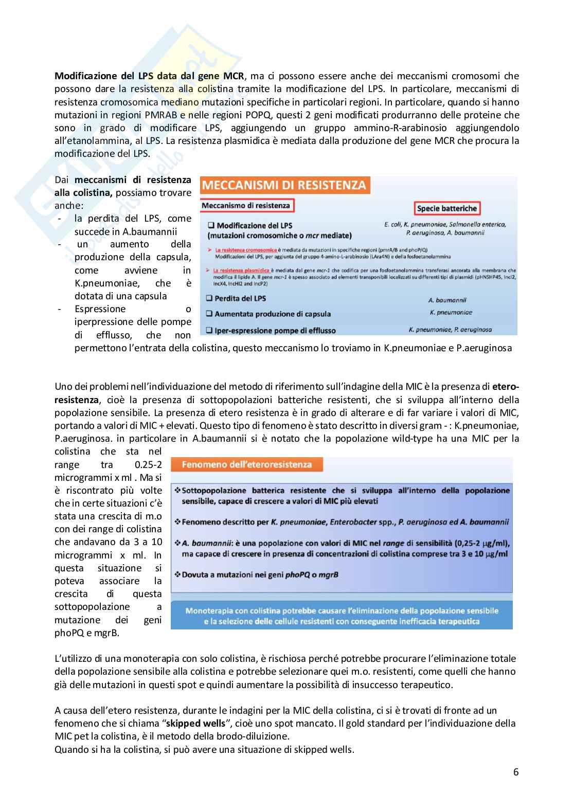Metodologia diagnostica in microbiologia clinica  Pag. 81