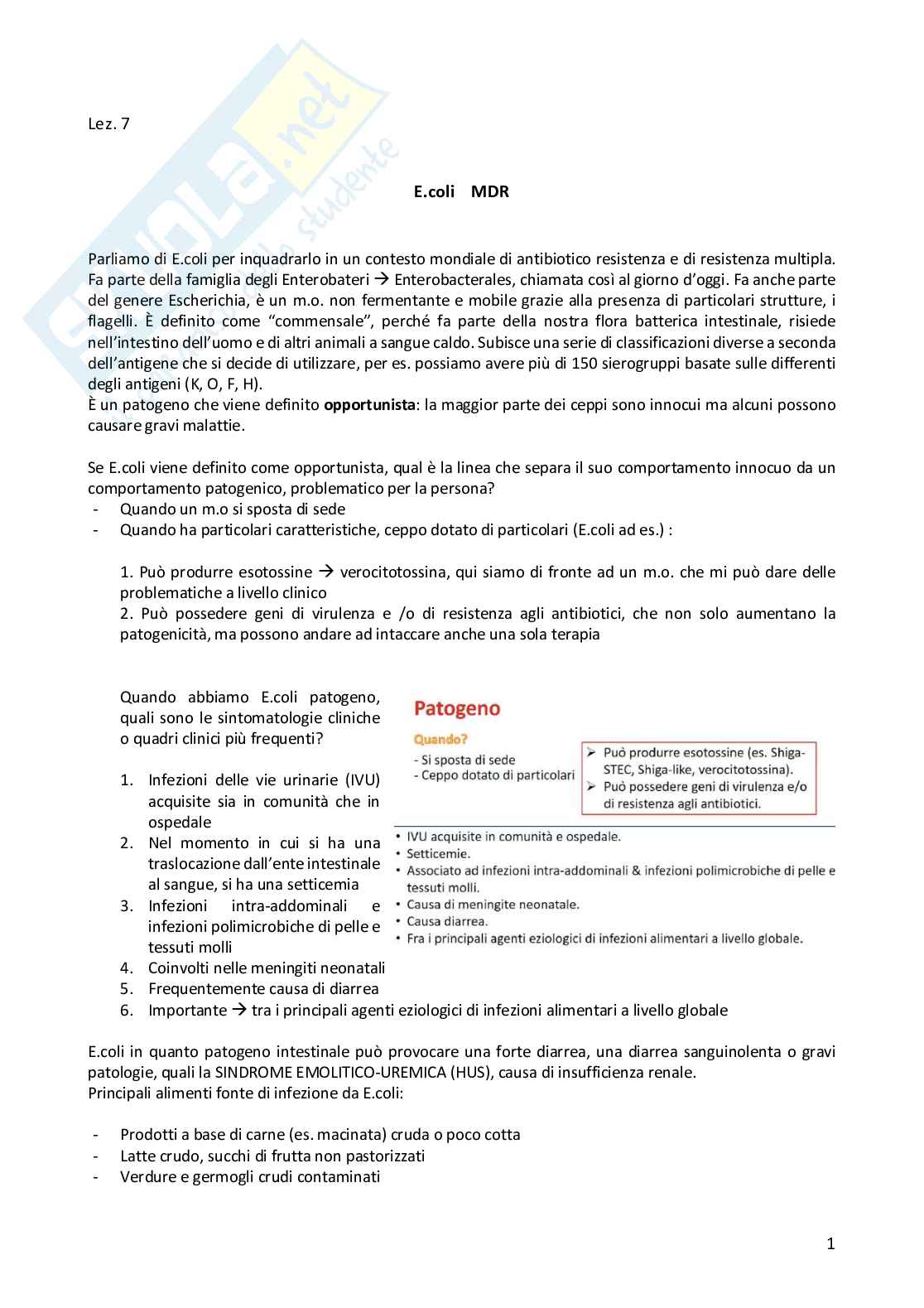 Metodologia diagnostica in microbiologia clinica  Pag. 86