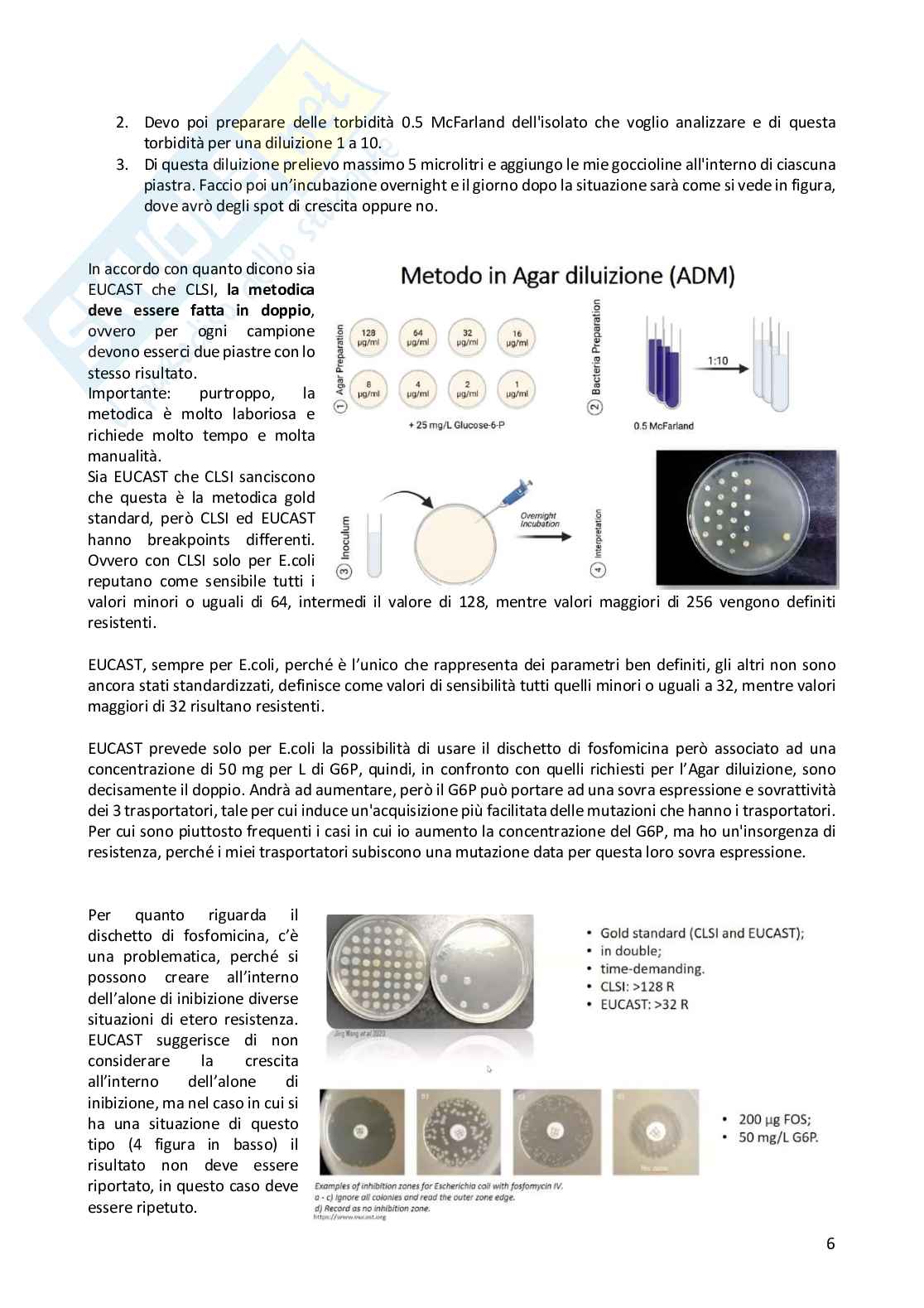 Metodologia diagnostica in microbiologia clinica  Pag. 91