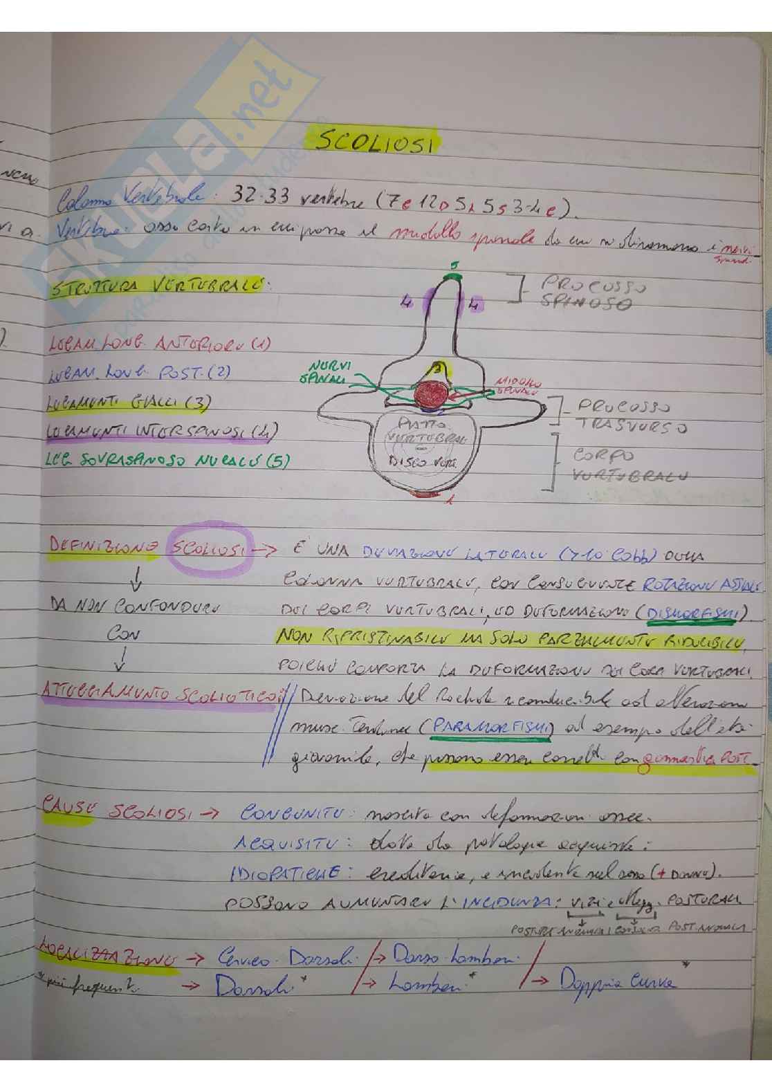 Appunti Diagnostica per immagini Pag. 36