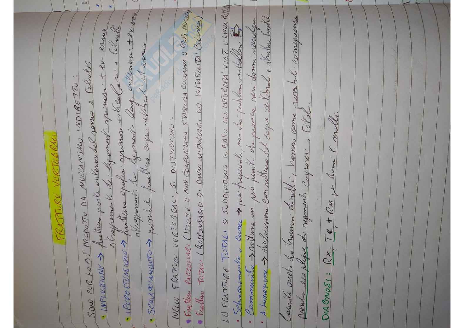Appunti Diagnostica per immagini Pag. 41