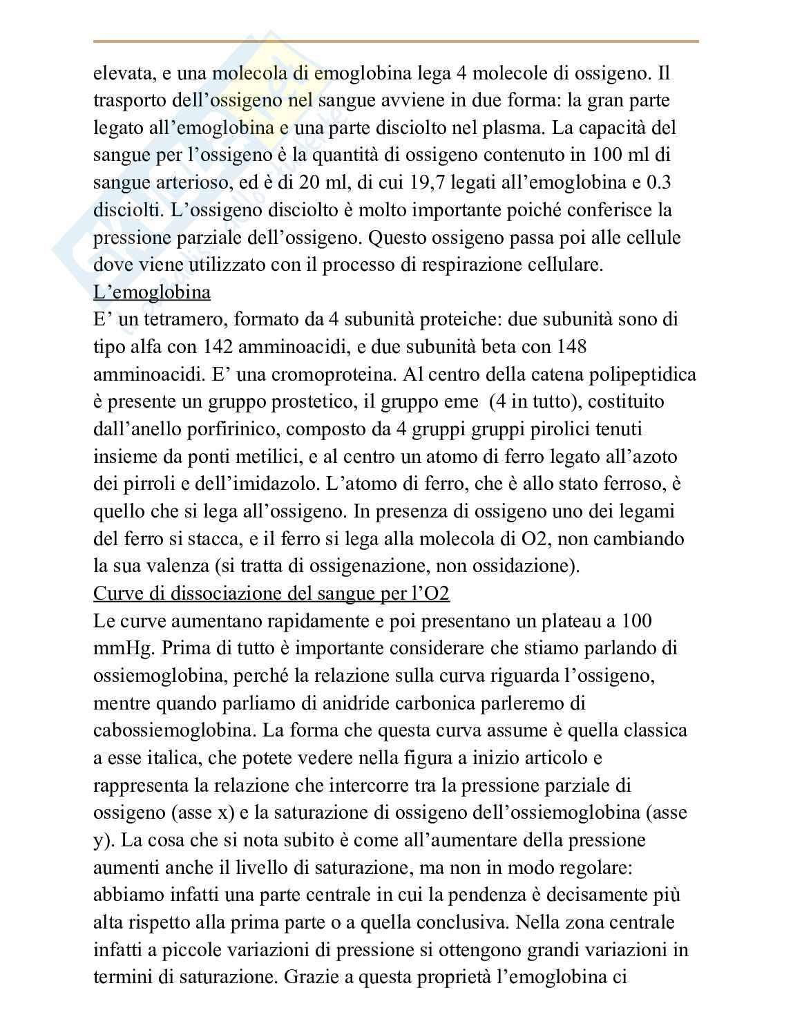 Appunti completi di Fisiologia umana Pag. 41