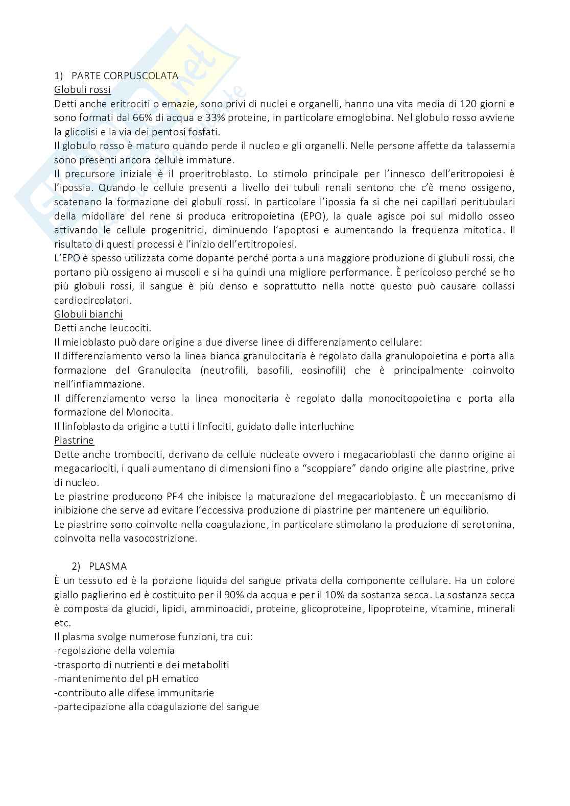 Biochimica clinica - Appunti Pag. 11