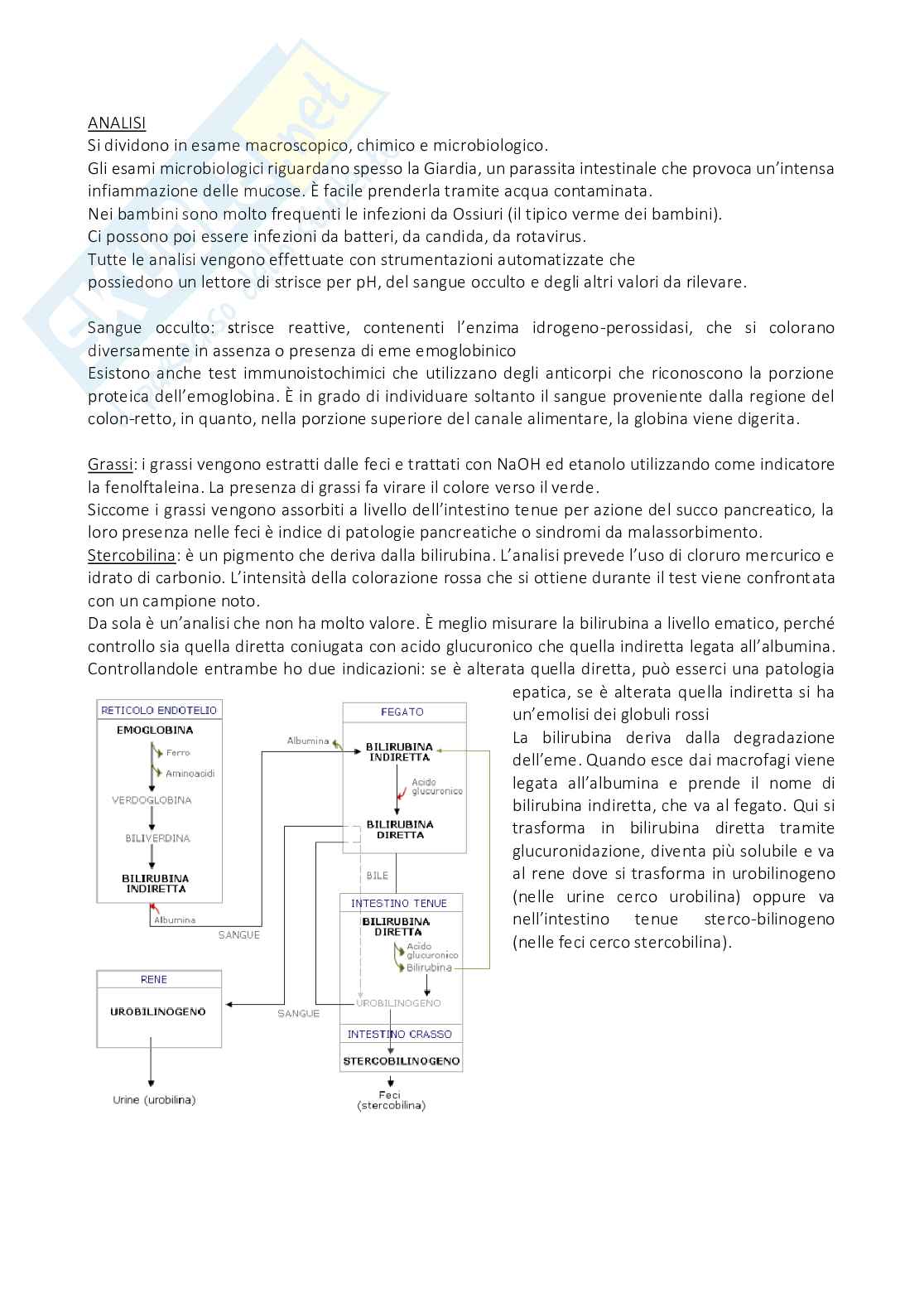 Biochimica clinica - Appunti Pag. 21