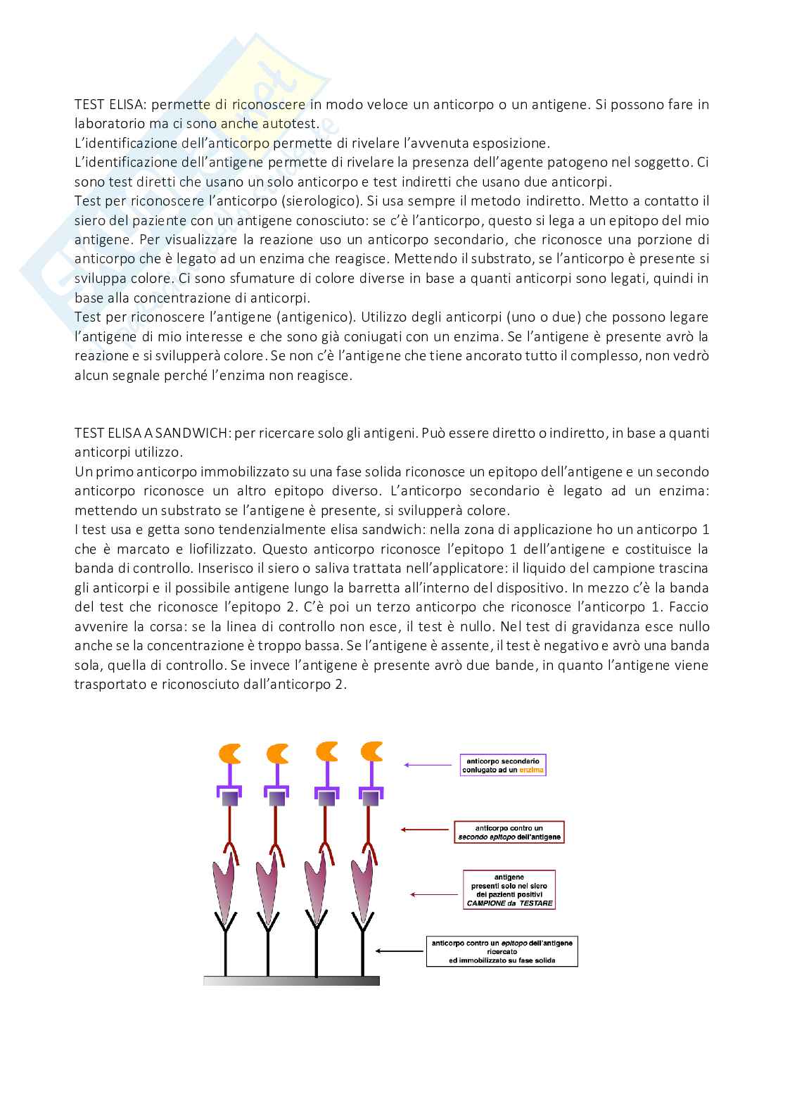 Biochimica clinica - Appunti Pag. 6