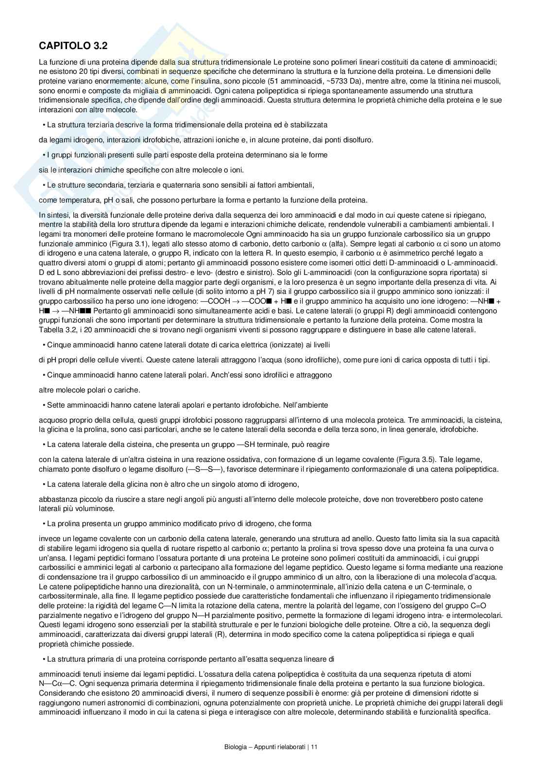 Appunti completi e dettagliati di Biologia – Preparazione all’esame Pag. 11