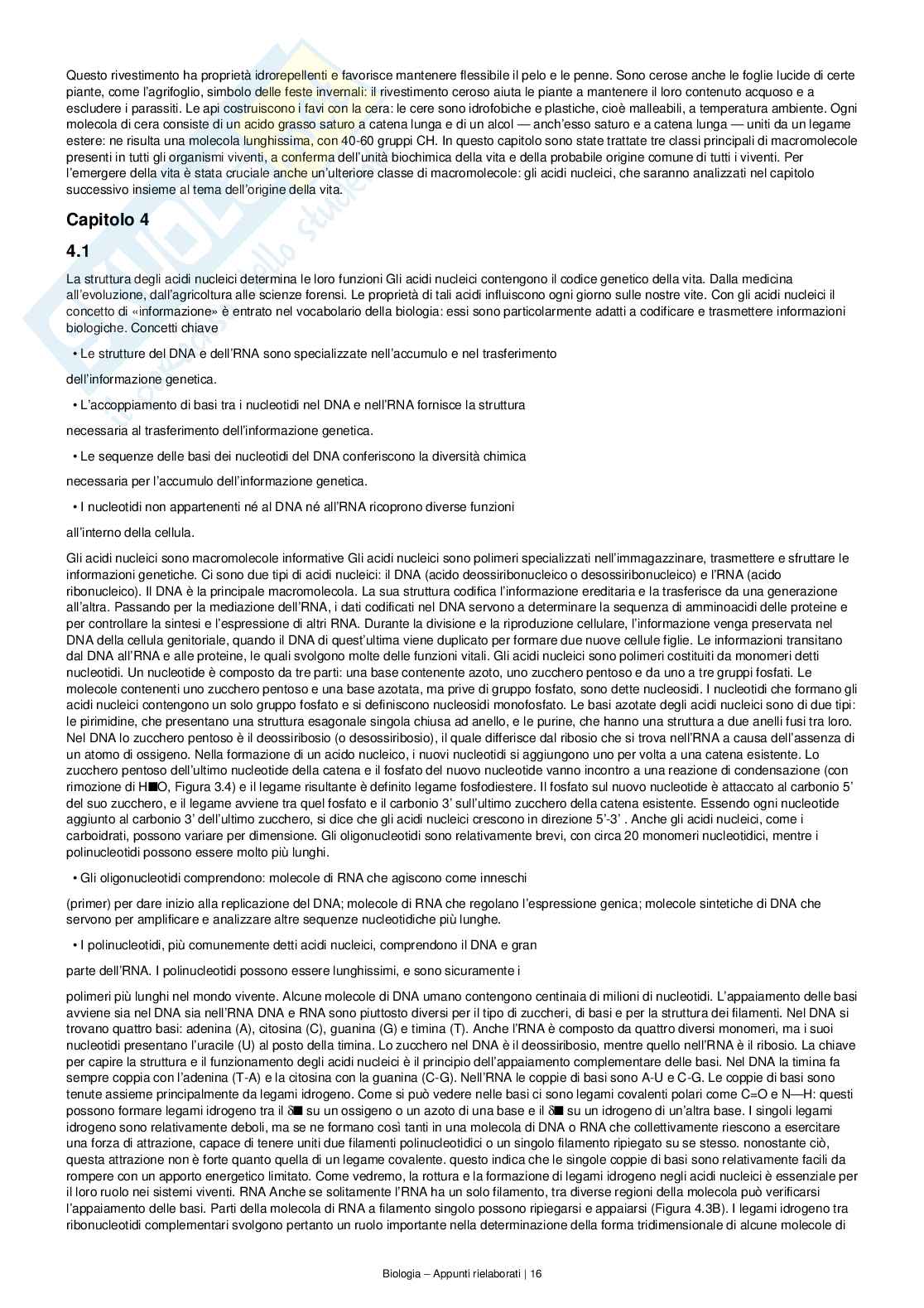 Appunti completi e dettagliati di Biologia – Preparazione all’esame Pag. 16