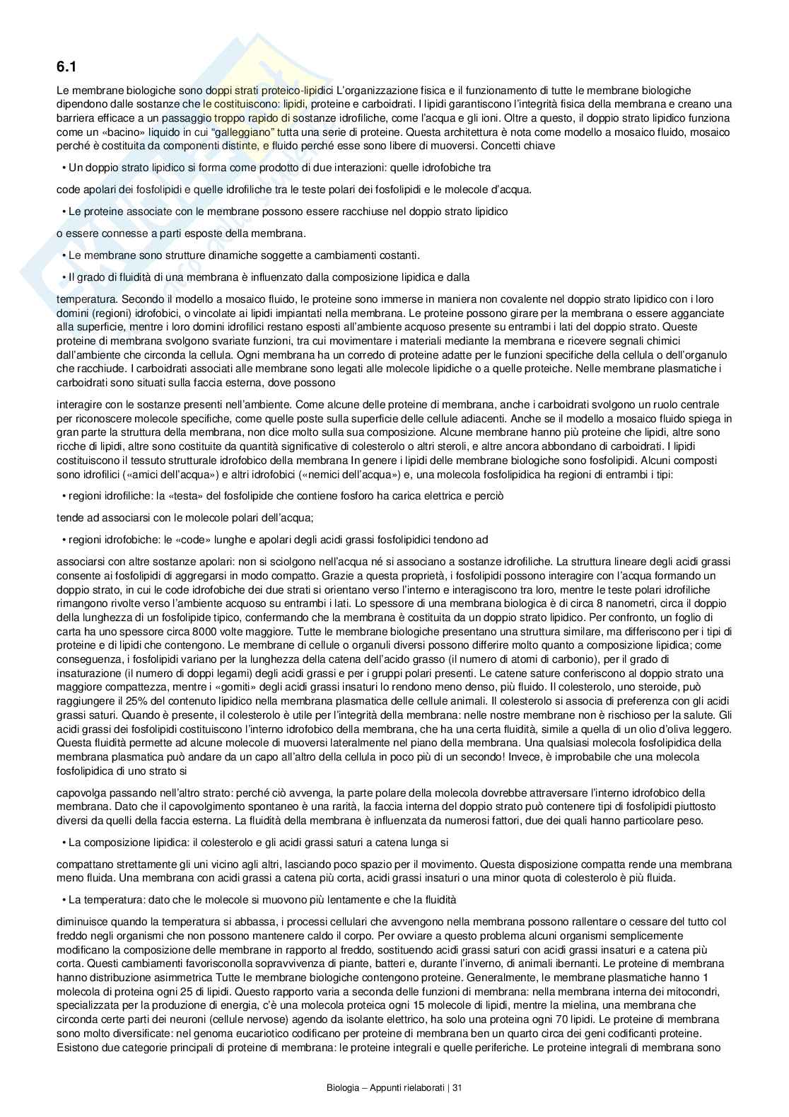 Appunti completi e dettagliati di Biologia – Preparazione all’esame Pag. 31