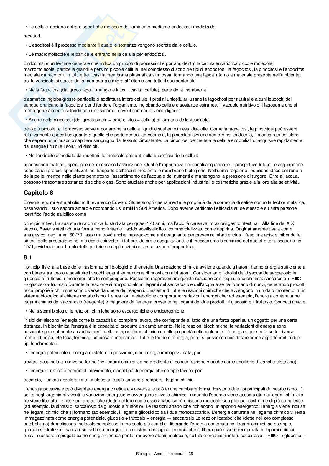Appunti completi e dettagliati di Biologia – Preparazione all’esame Pag. 36