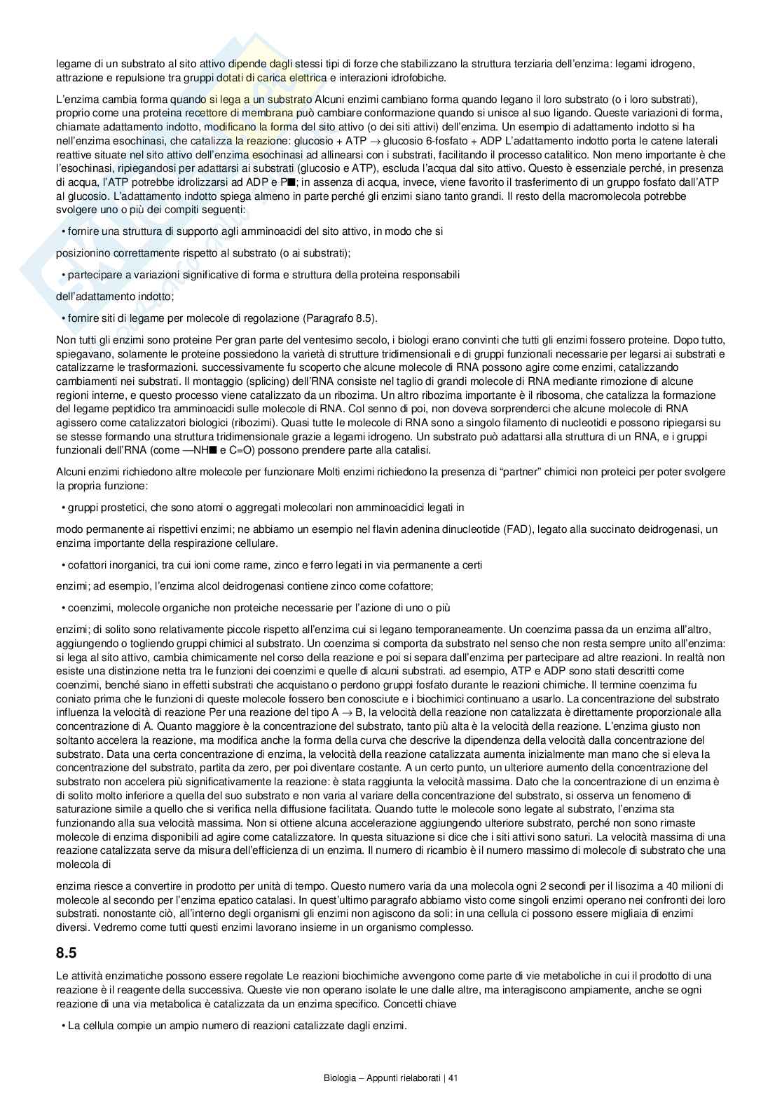 Appunti completi e dettagliati di Biologia – Preparazione all’esame Pag. 41