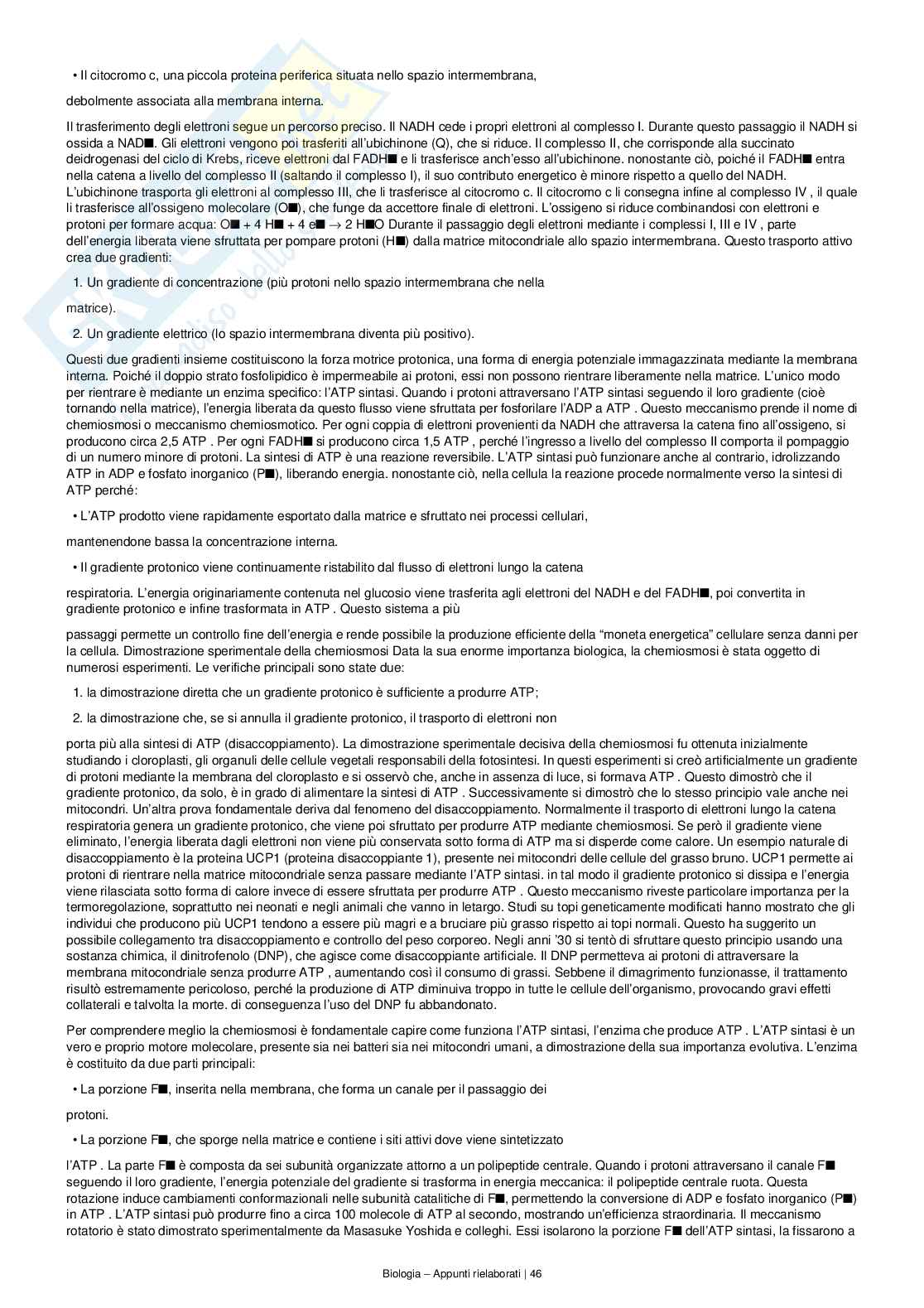 Appunti completi e dettagliati di Biologia – Preparazione all’esame Pag. 46