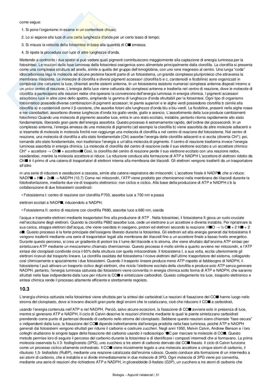 Appunti completi e dettagliati di Biologia – Preparazione all’esame Pag. 51