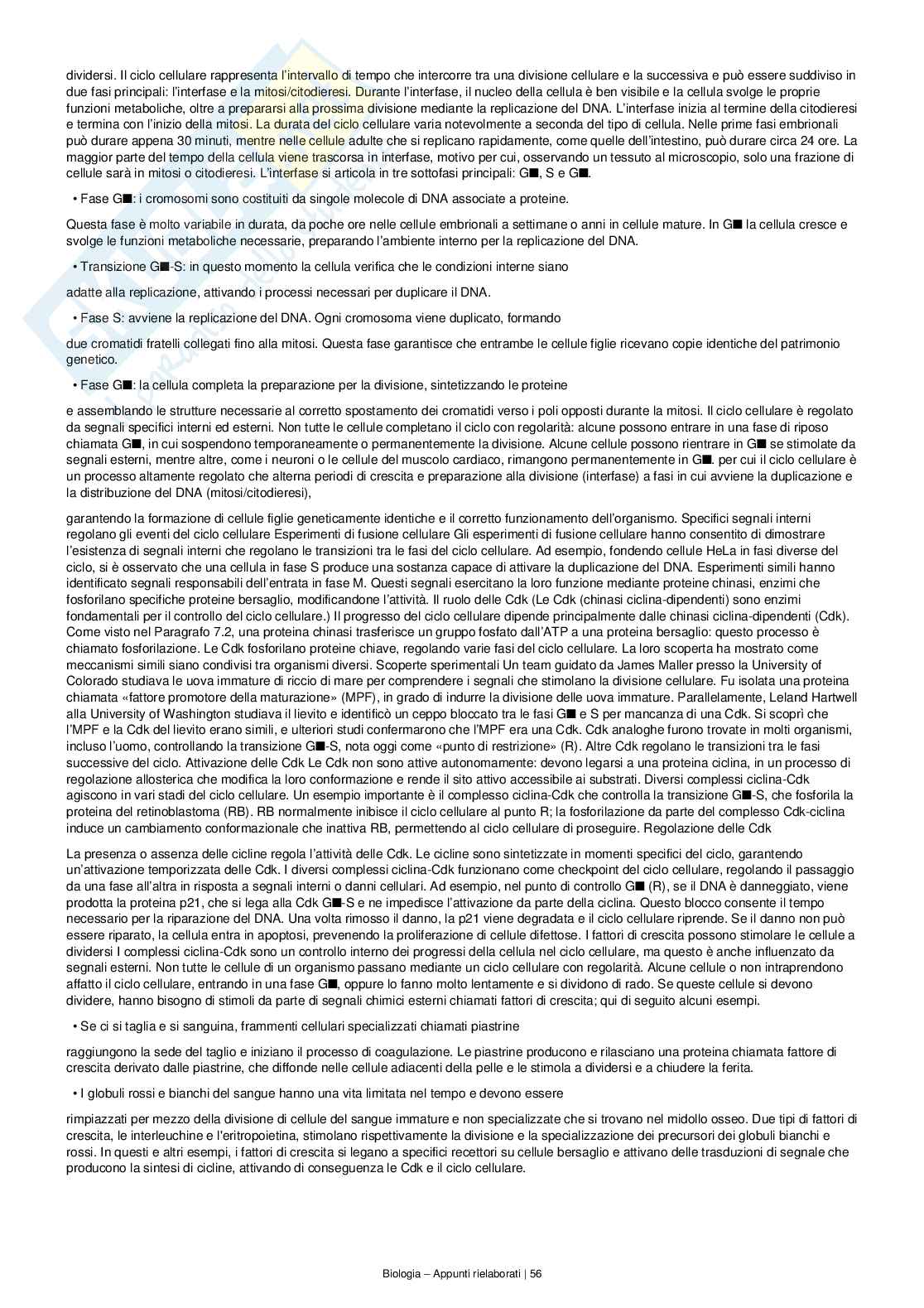 Appunti completi e dettagliati di Biologia – Preparazione all’esame Pag. 56