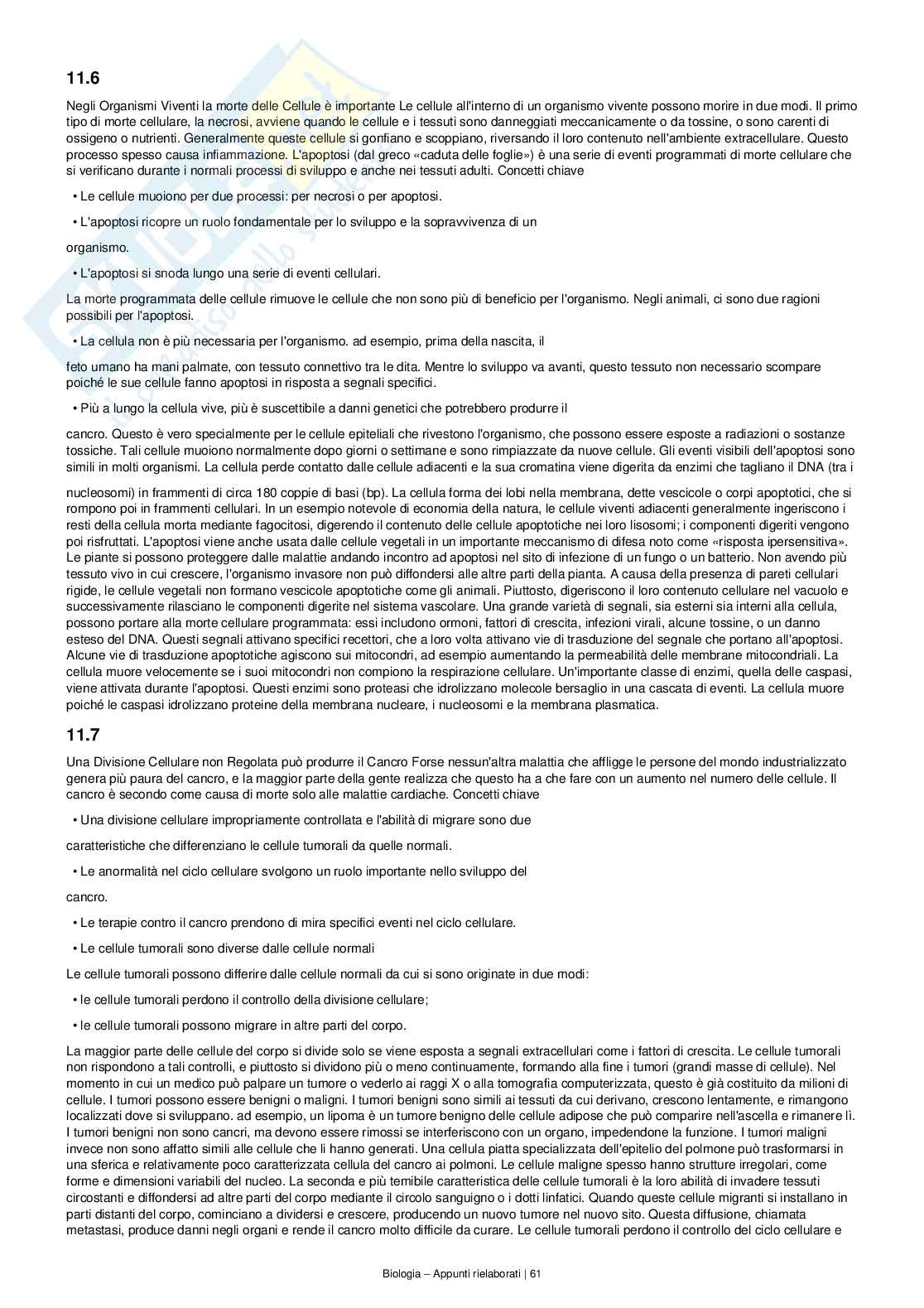 Appunti completi e dettagliati di Biologia – Preparazione all’esame Pag. 61