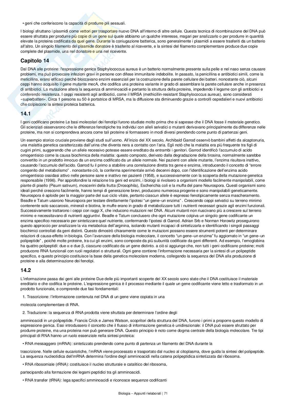 Appunti completi e dettagliati di Biologia – Preparazione all’esame Pag. 71