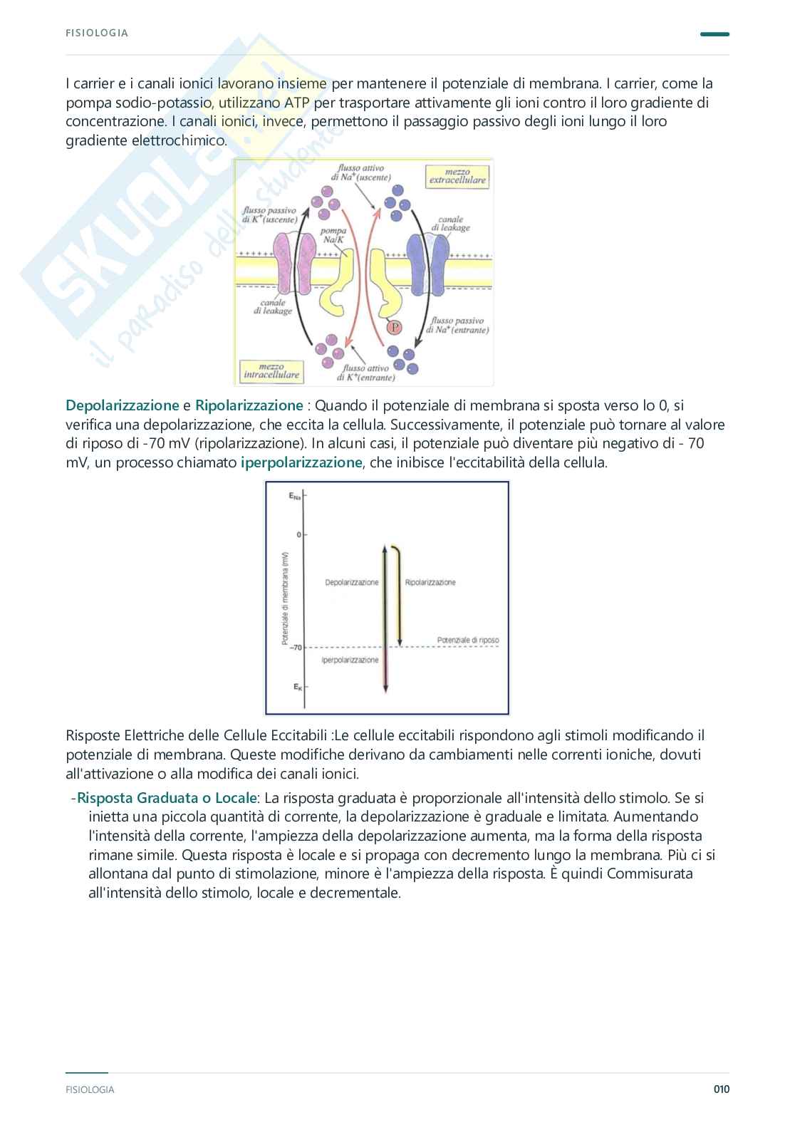 Fisiologia umana – Appunti completi, 2025/2026 Pag. 11