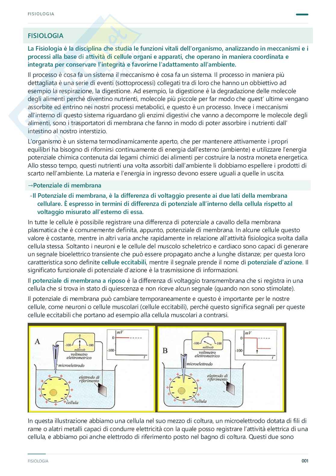 Fisiologia umana – Appunti completi, 2025/2026 Pag. 2