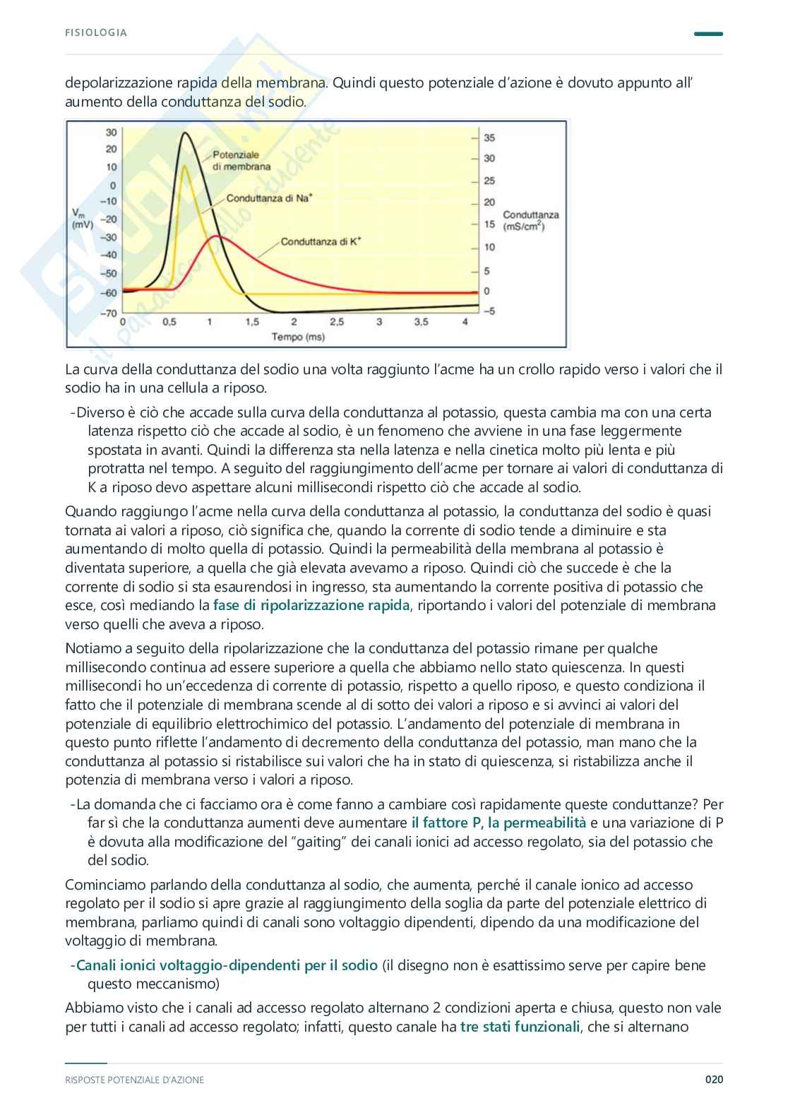 Fisiologia umana – Appunti completi, 2025/2026 Pag. 21