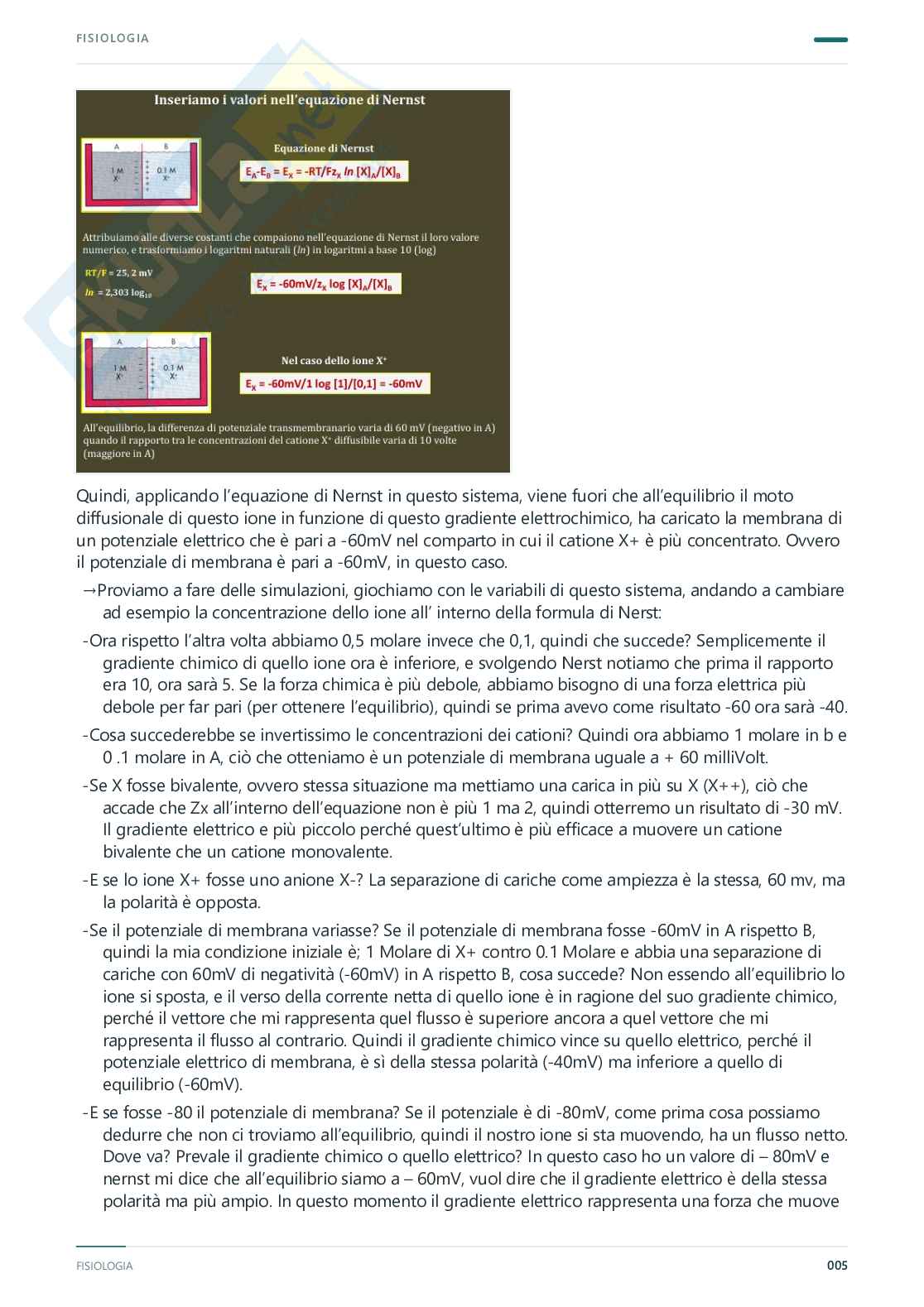 Fisiologia umana – Appunti completi, 2025/2026 Pag. 6