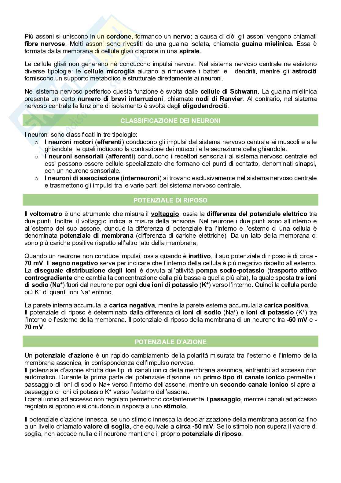 Sistema nervoso Pag. 2