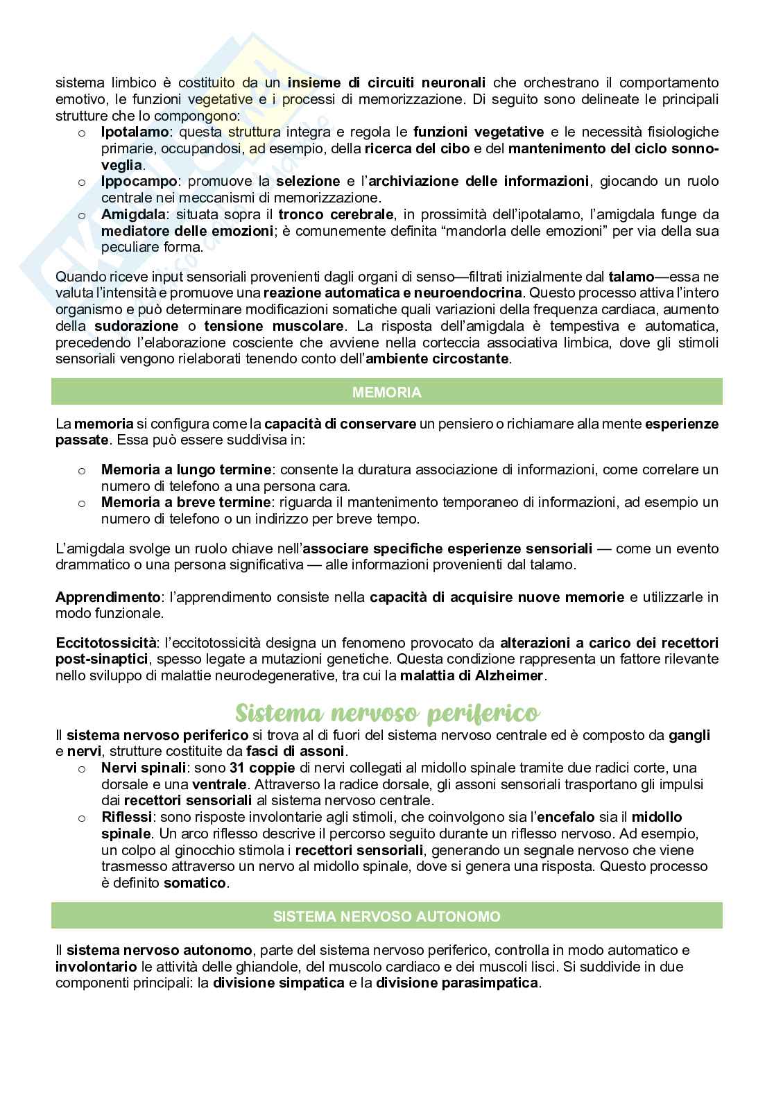 Sistema nervoso Pag. 6