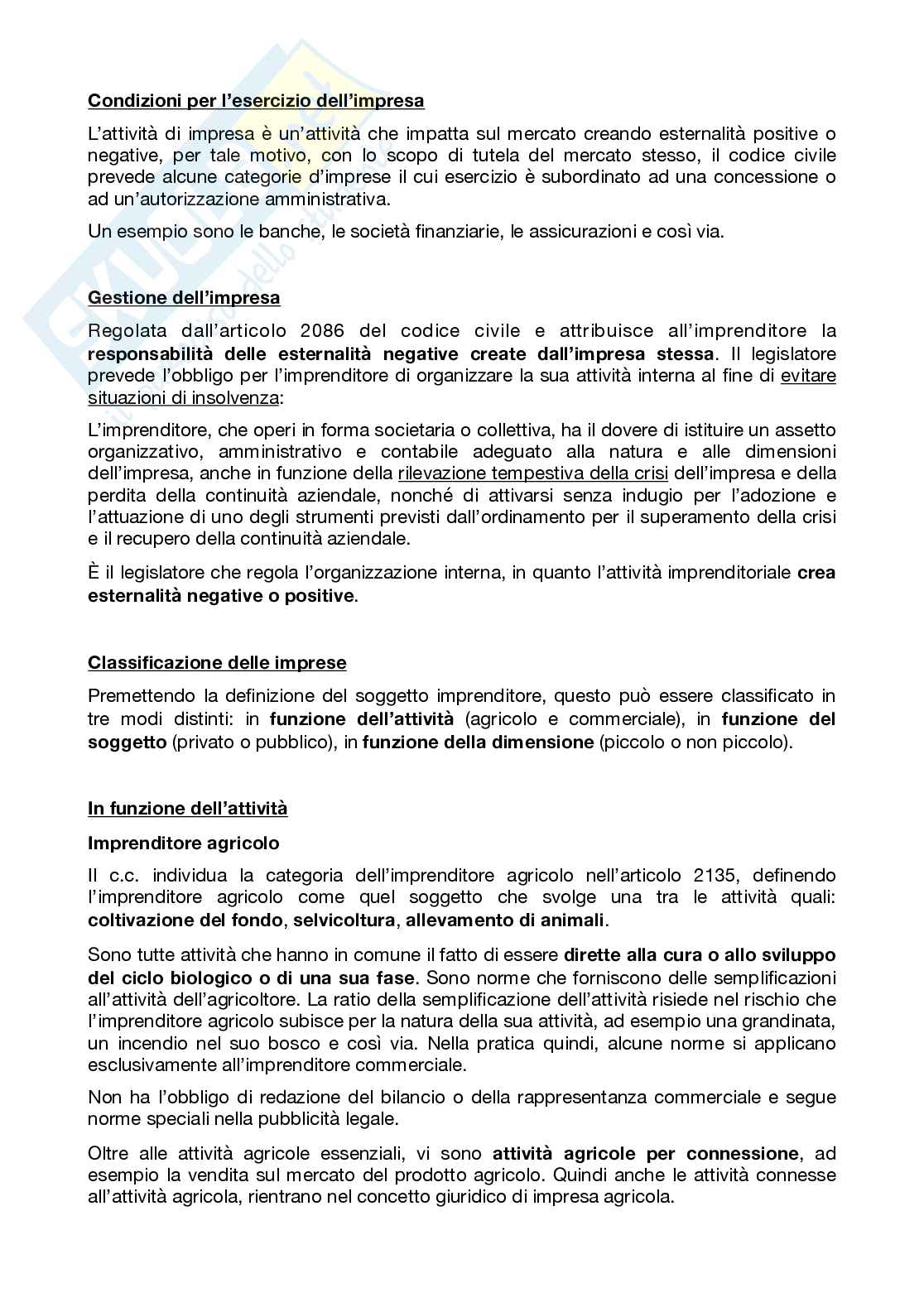 Appunti lezione diritto commerciale Pag. 6